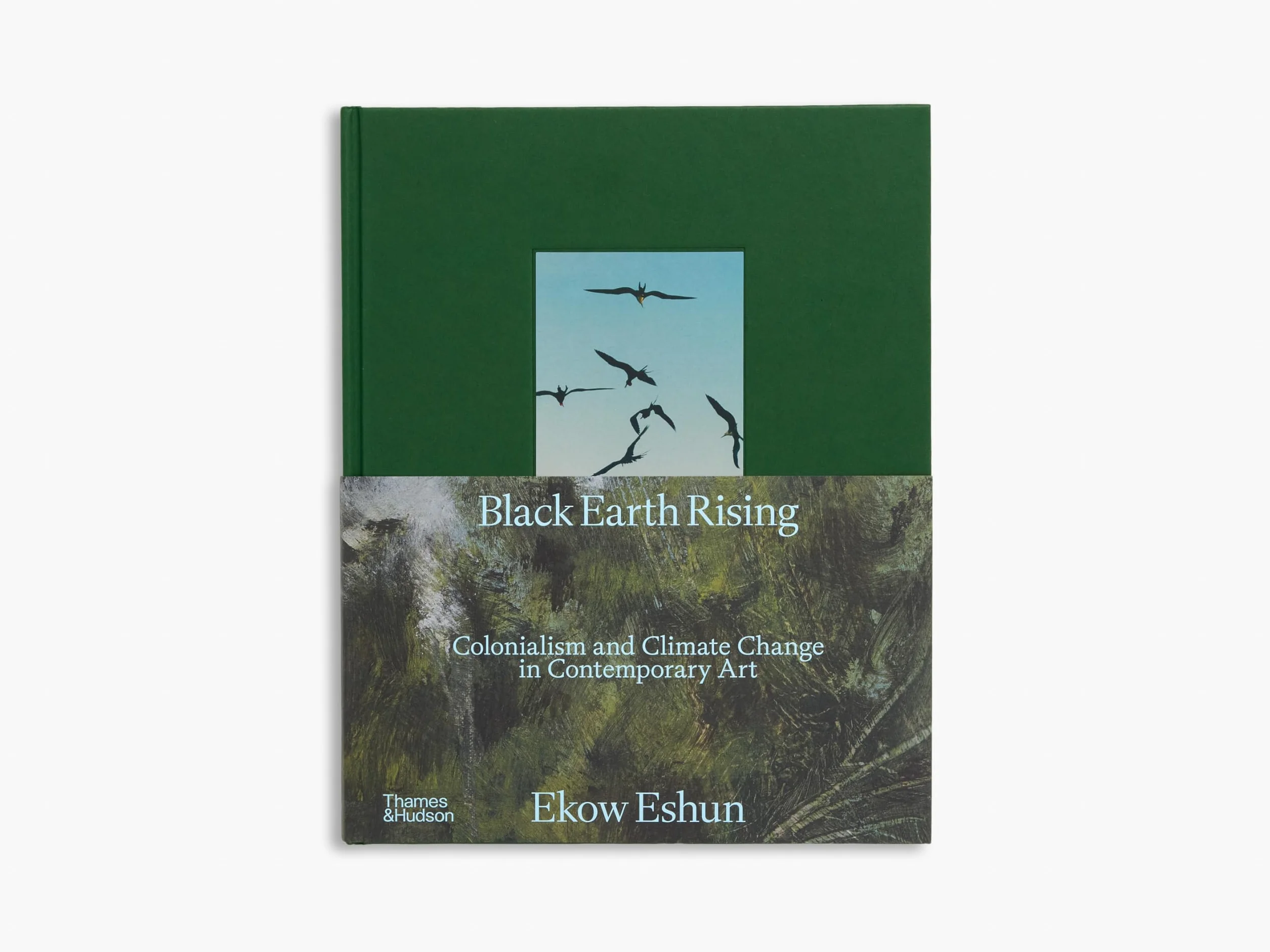 Black Earth Rising: Colonialism and Climate Change in Contemporary Art