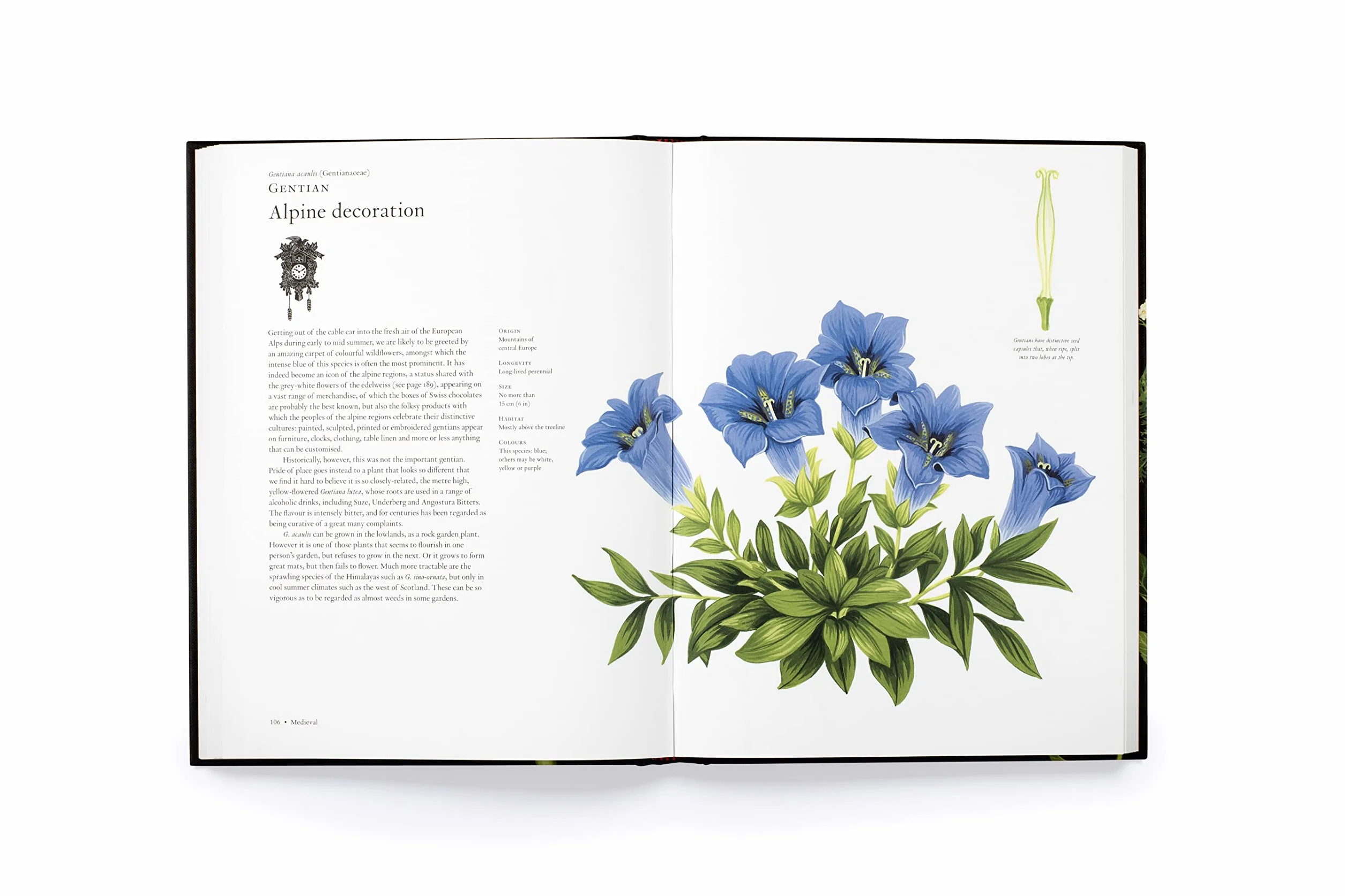 The Story of Flowers /anglais: And How They Changed the Way We Live