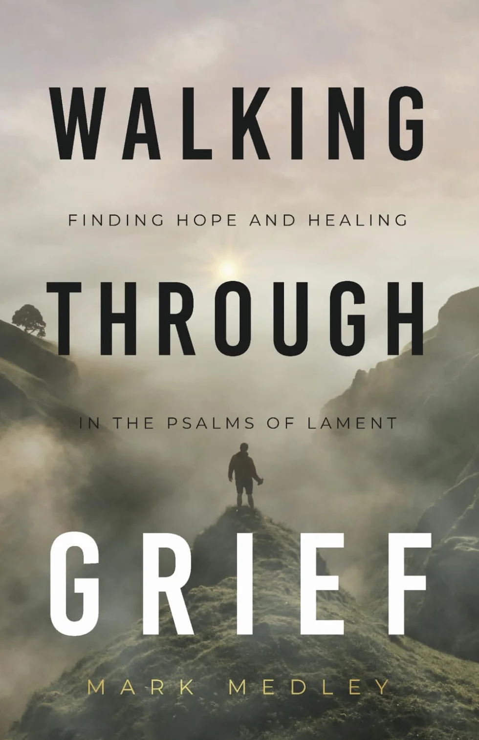 Walking Through Grief: Finding Hope and Healing in the Psalms of Lament