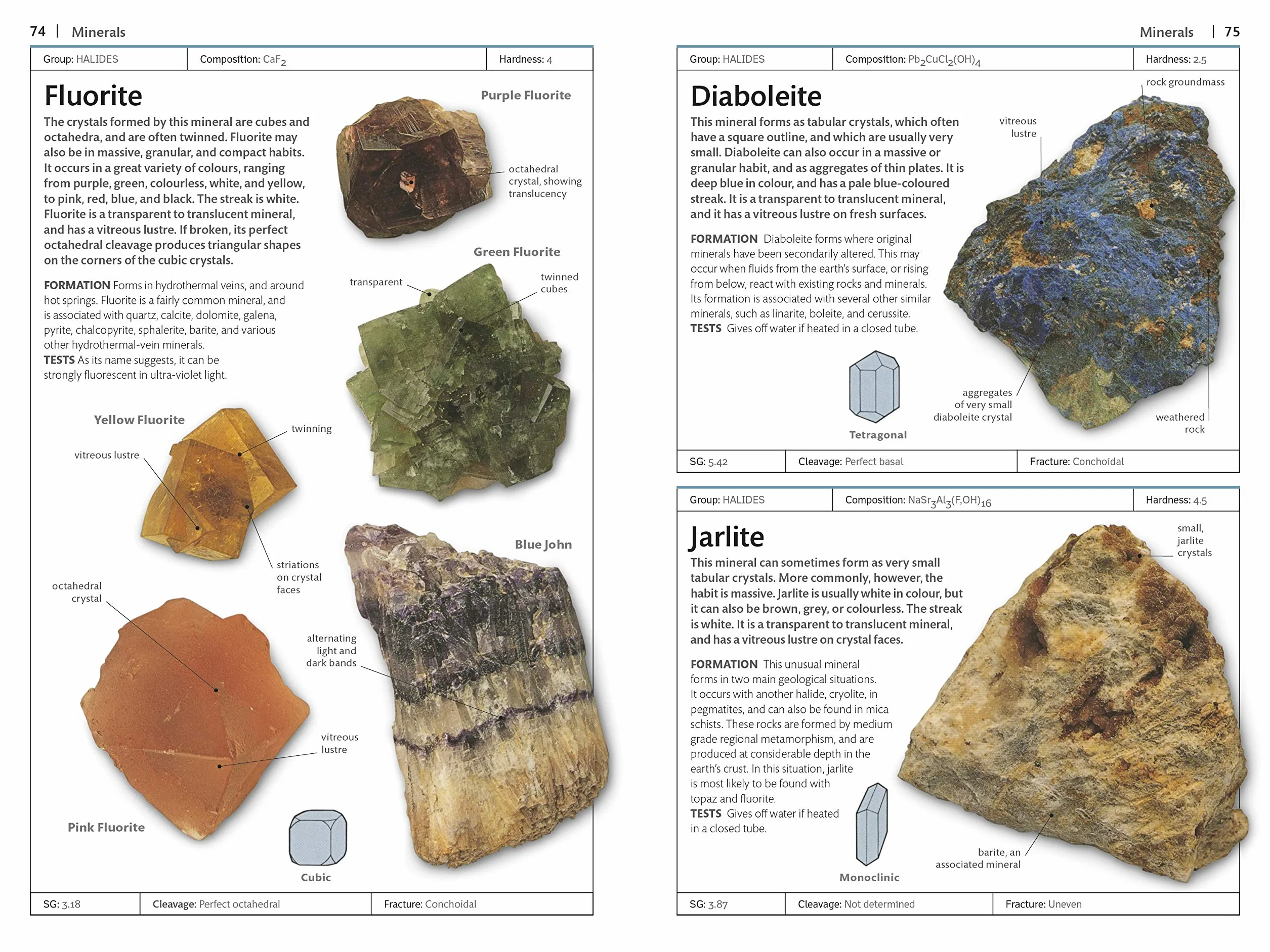 Rocks and Minerals (DK Handbooks)
