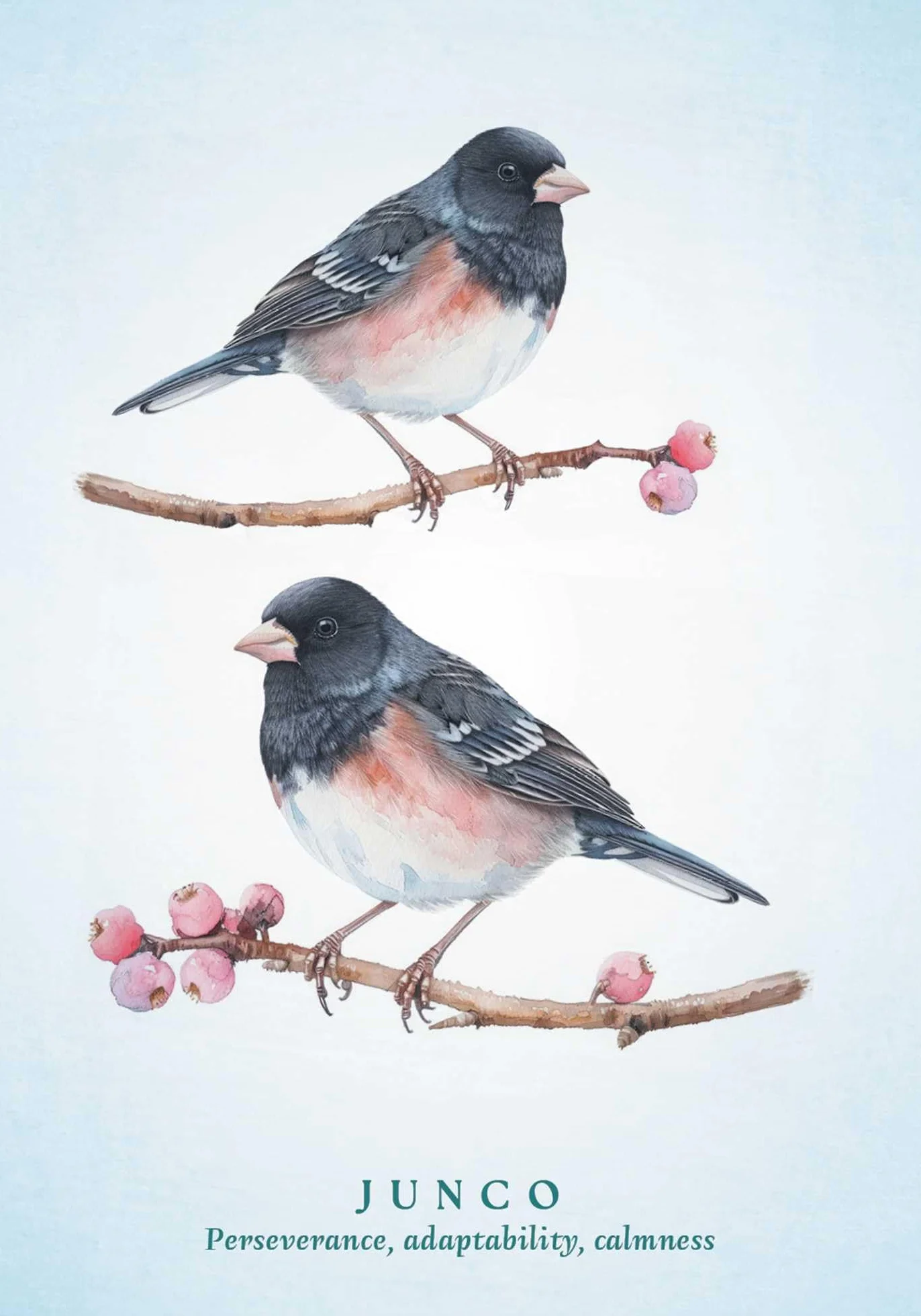 The Spiritual Meaning of Birds Oracle Deck: Discover the Wisdom & Insight of These Divine Winged Messengers