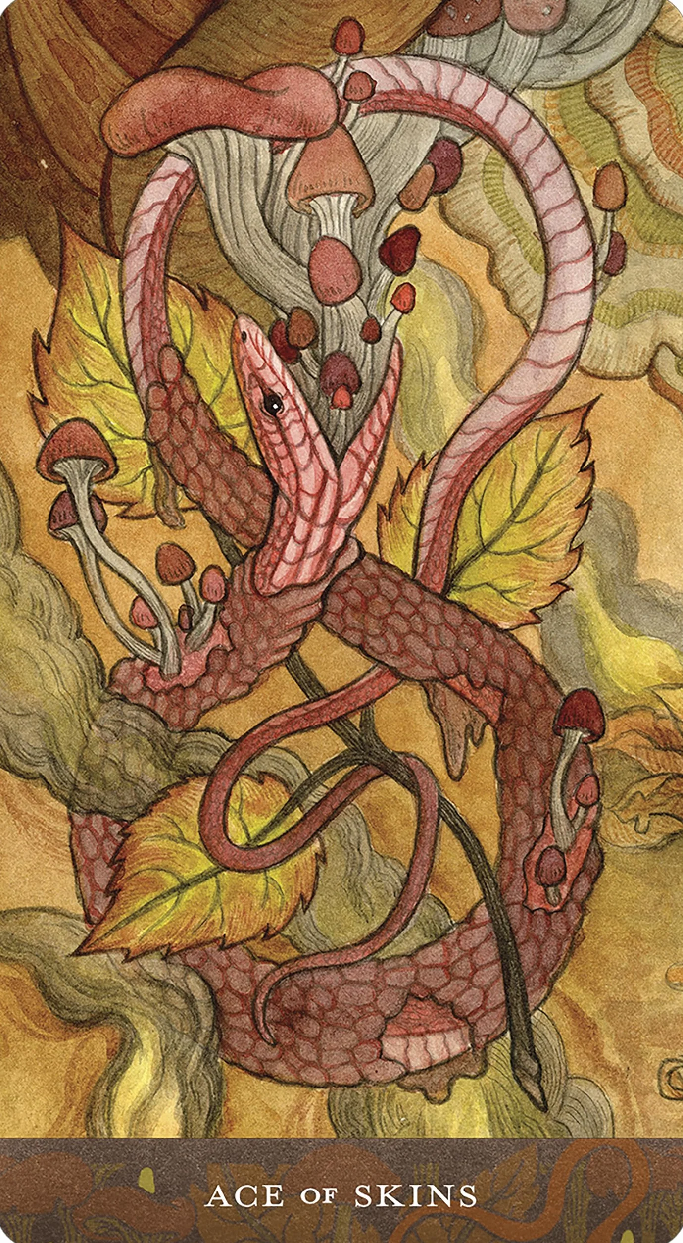 Blood Moon Tarot
