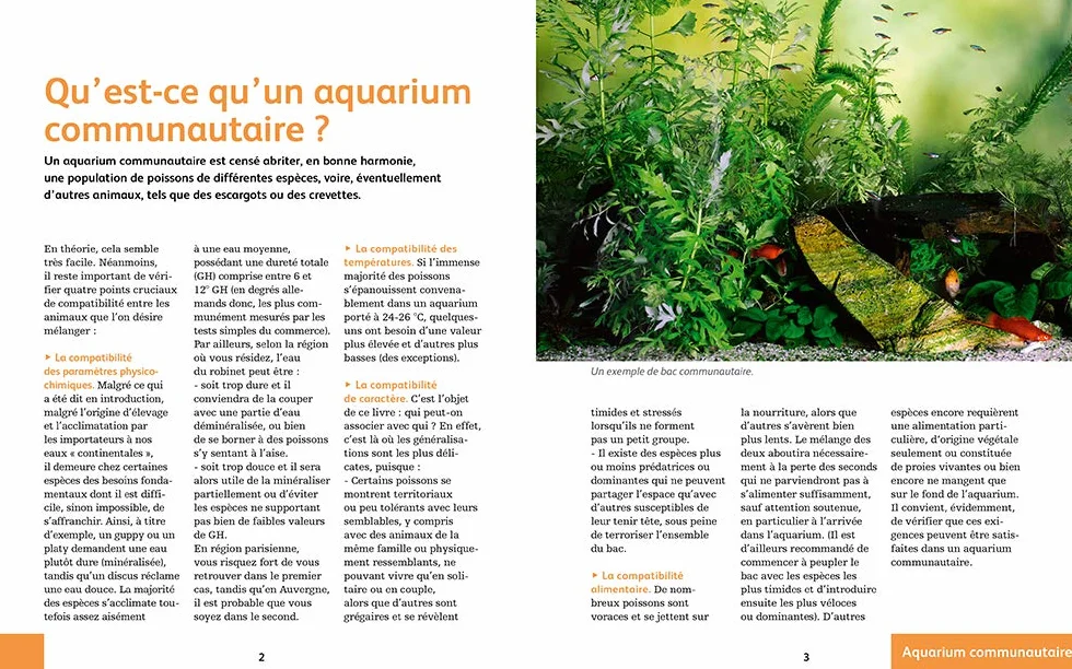 80 poissons exotiques: Les meilleures espèces pour aquarium d'eau douce
