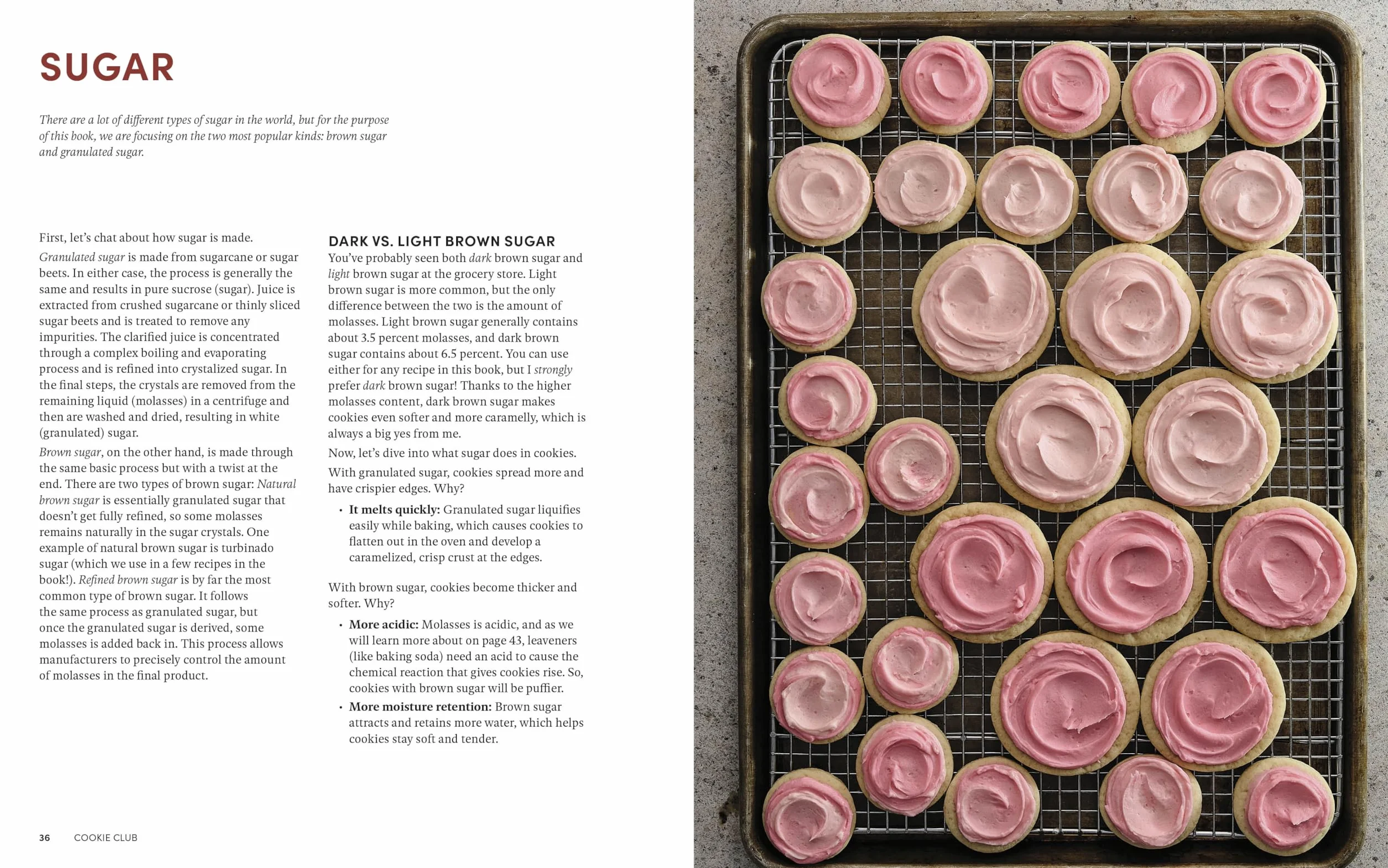 Cookie Club: 80 Creative Cookies to Make, Swap, and Share