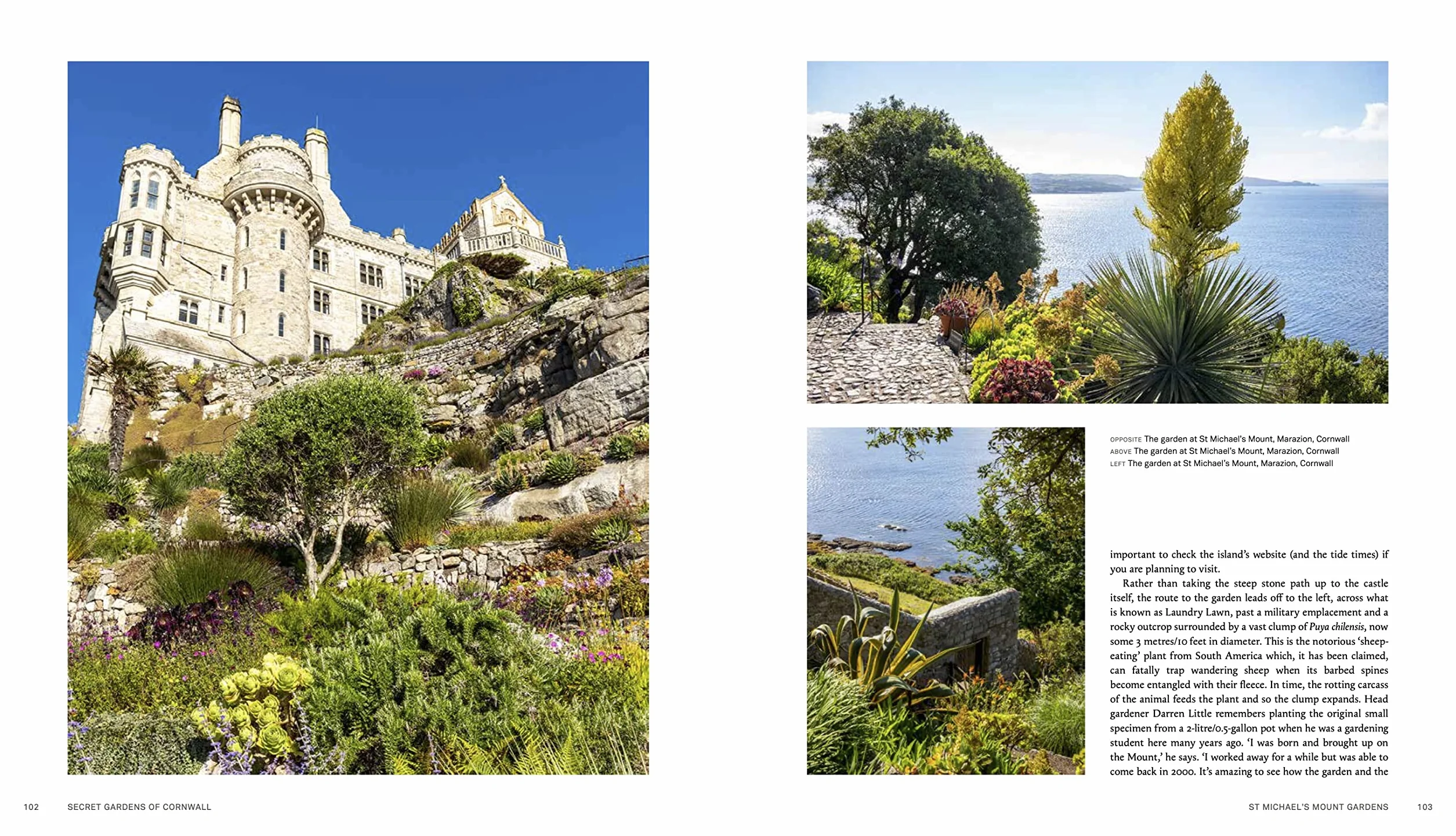 Secret Gardens of Cornwall: A Private Tour