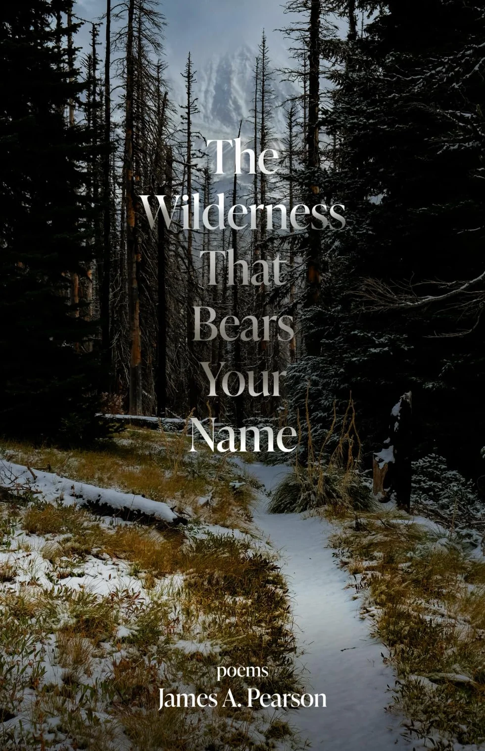 The Wilderness That Bears Your Name