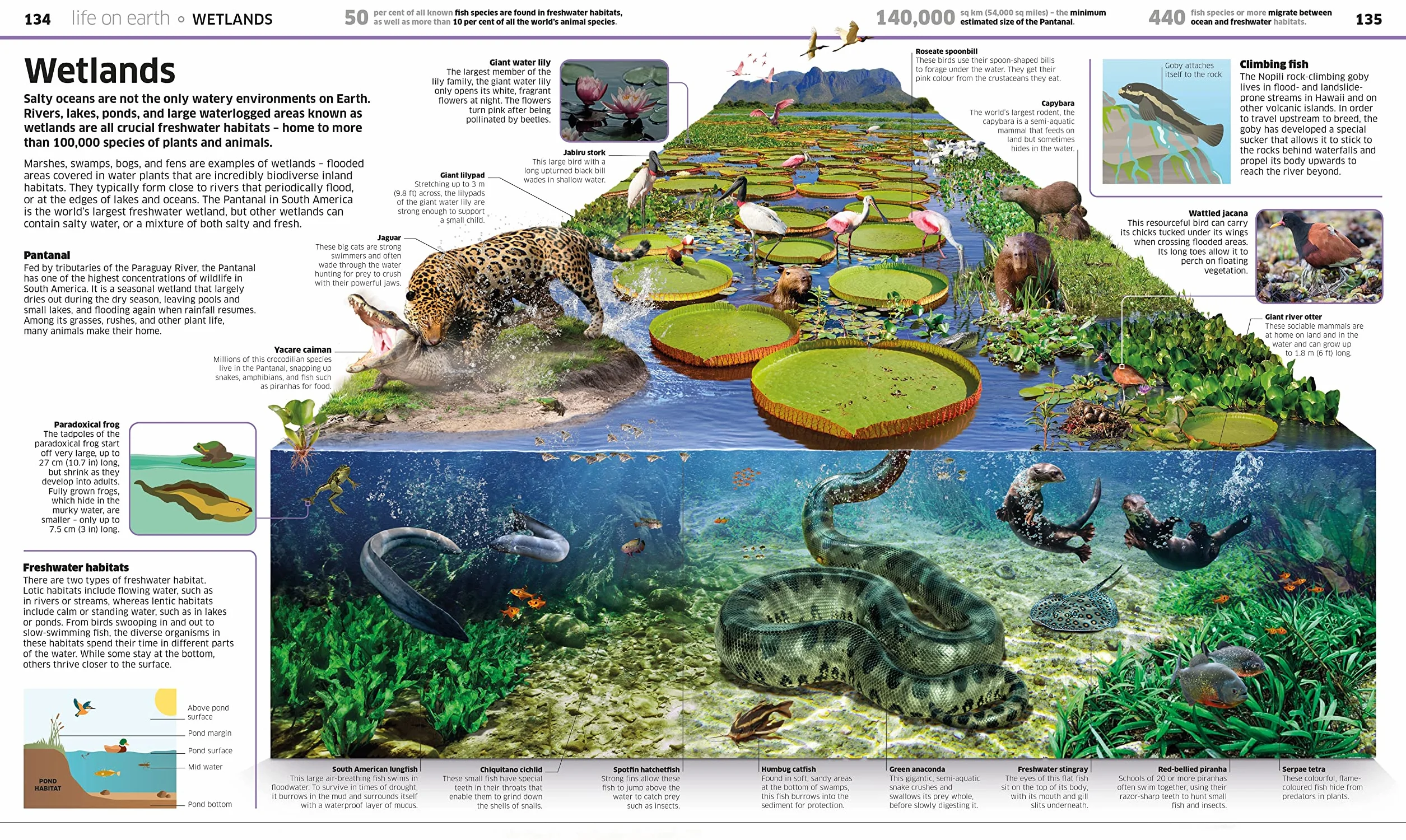 Knowledge Encyclopedia Earth!: Our Exciting World As You've Never Seen It Before