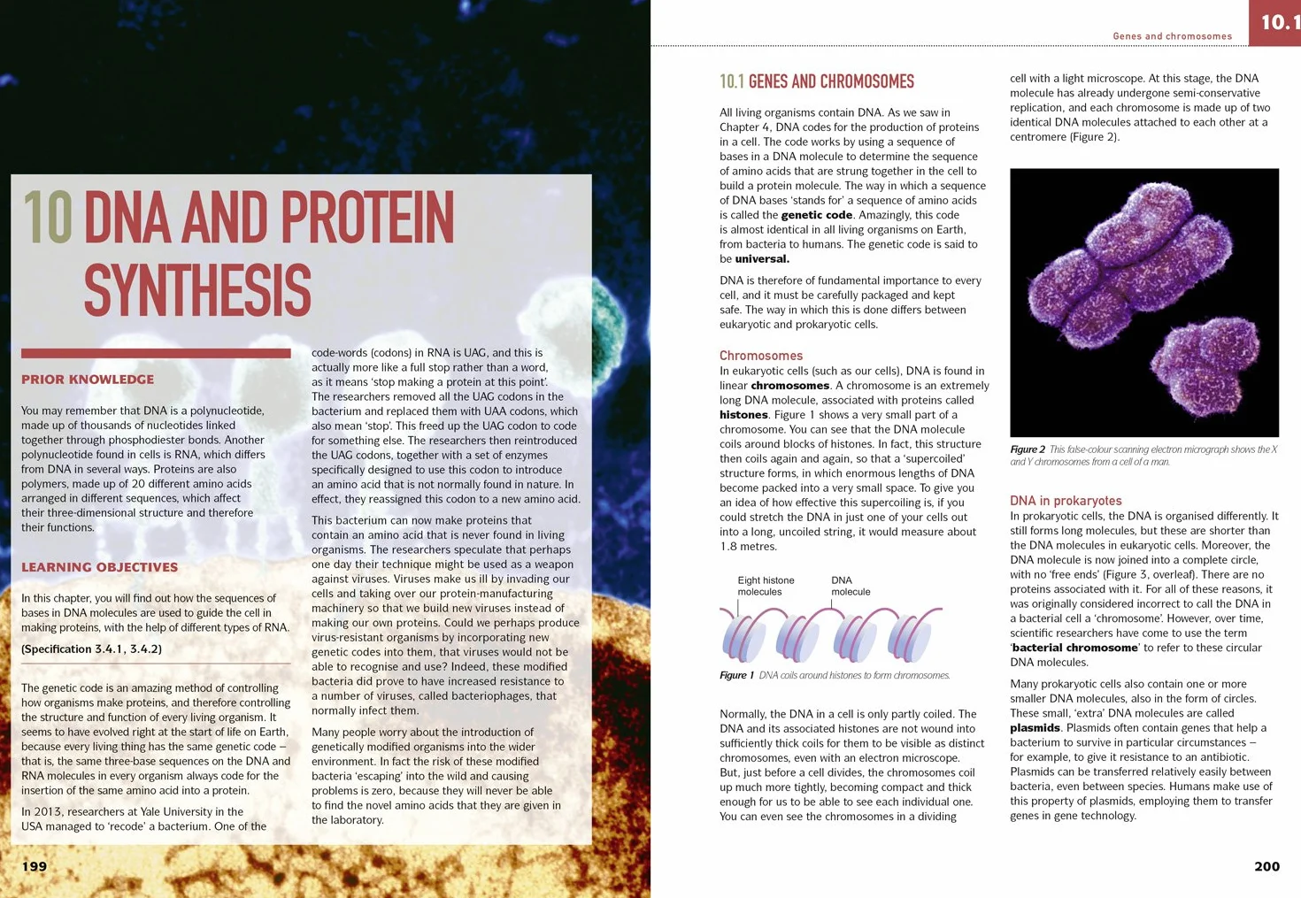 AQA A Level Biology Year 1 and AS Student Book