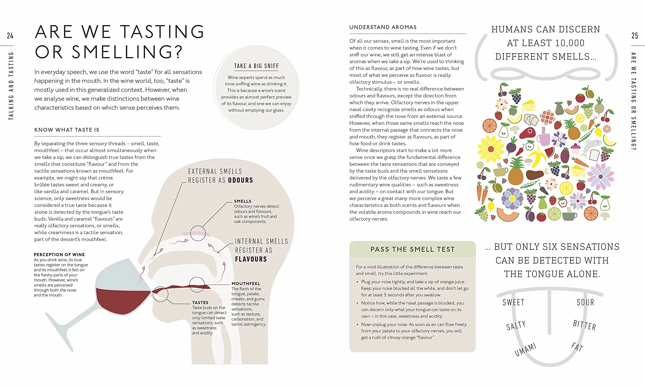 Wine A Tasting Course: From Grape to Glass