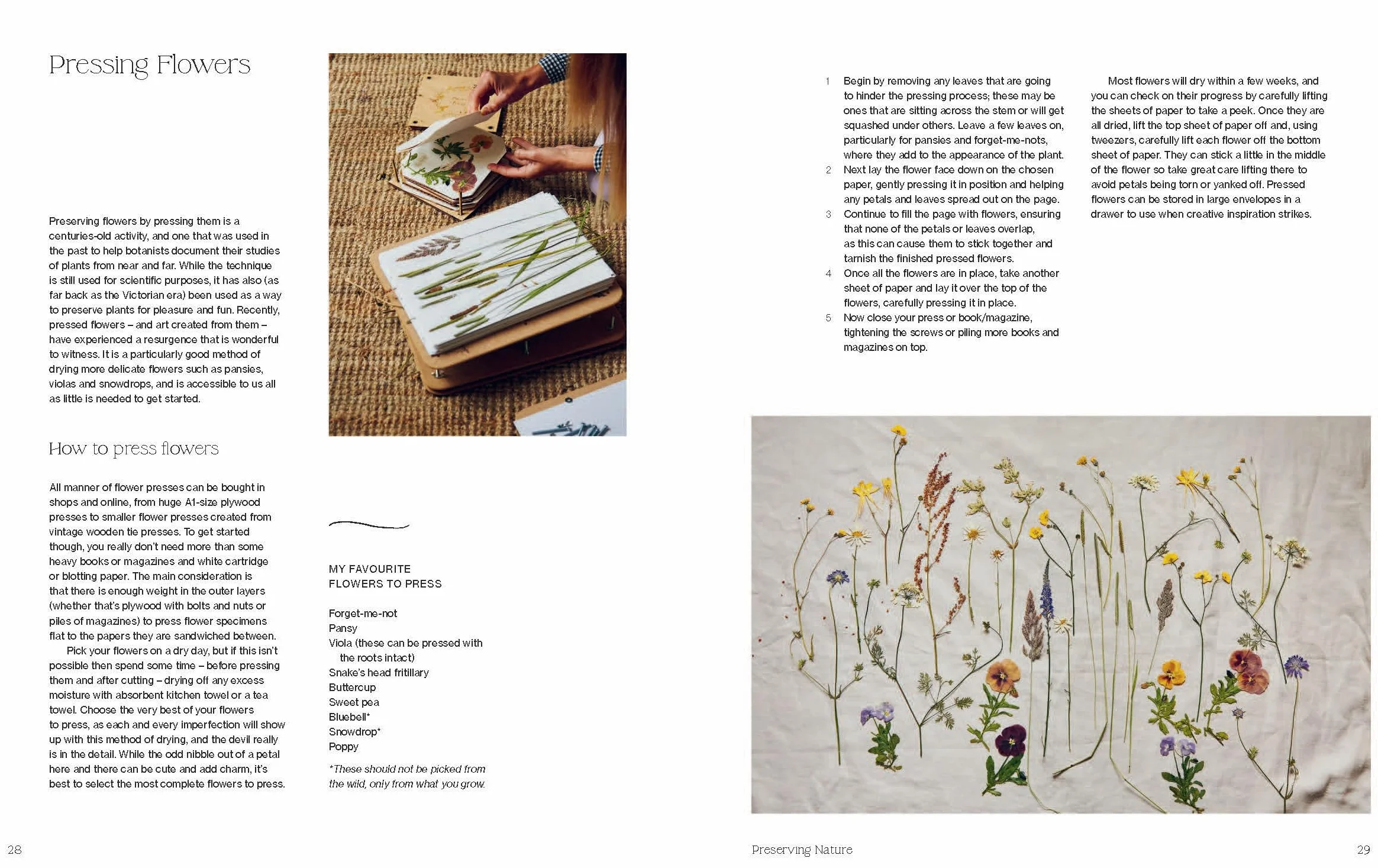 Crafting with Flowers: Celebrate the Seasons with 20 Floral Projects