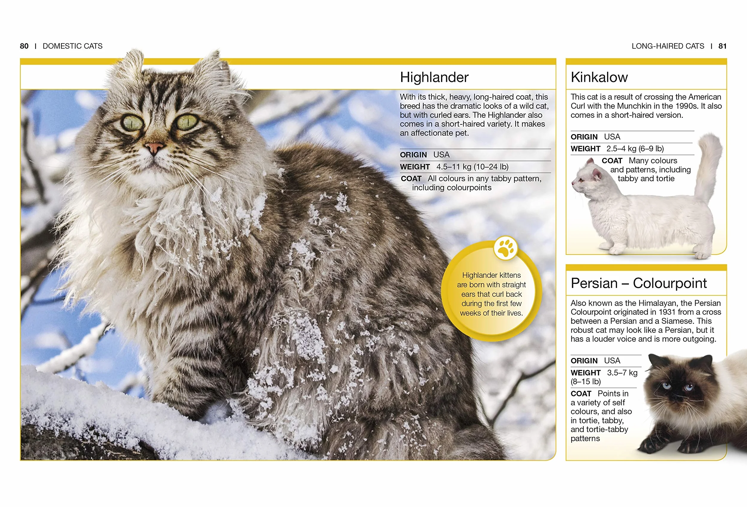 Cats: Facts at Your Fingertips (Pocket Eyewitness)