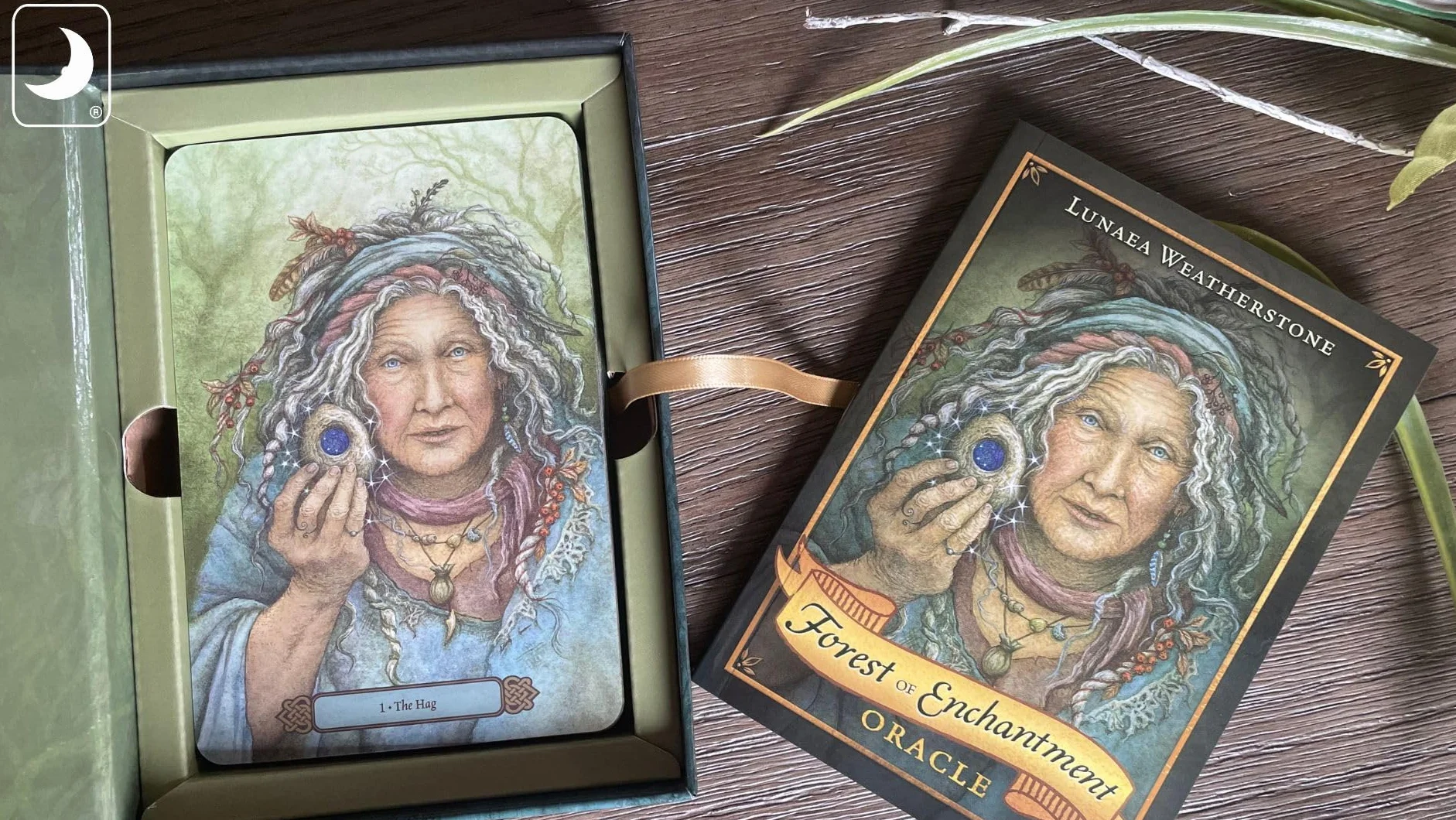 Forest of Enchantment Oracle