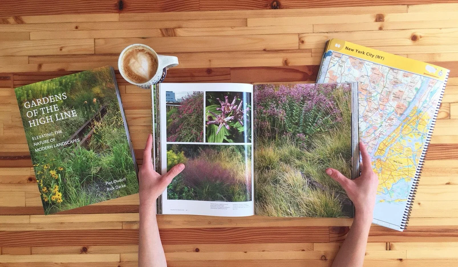 Gardens of the High Line: Elevating the Nature of Modern Landscapes