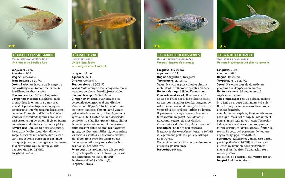 80 poissons exotiques: Les meilleures espèces pour aquarium d'eau douce