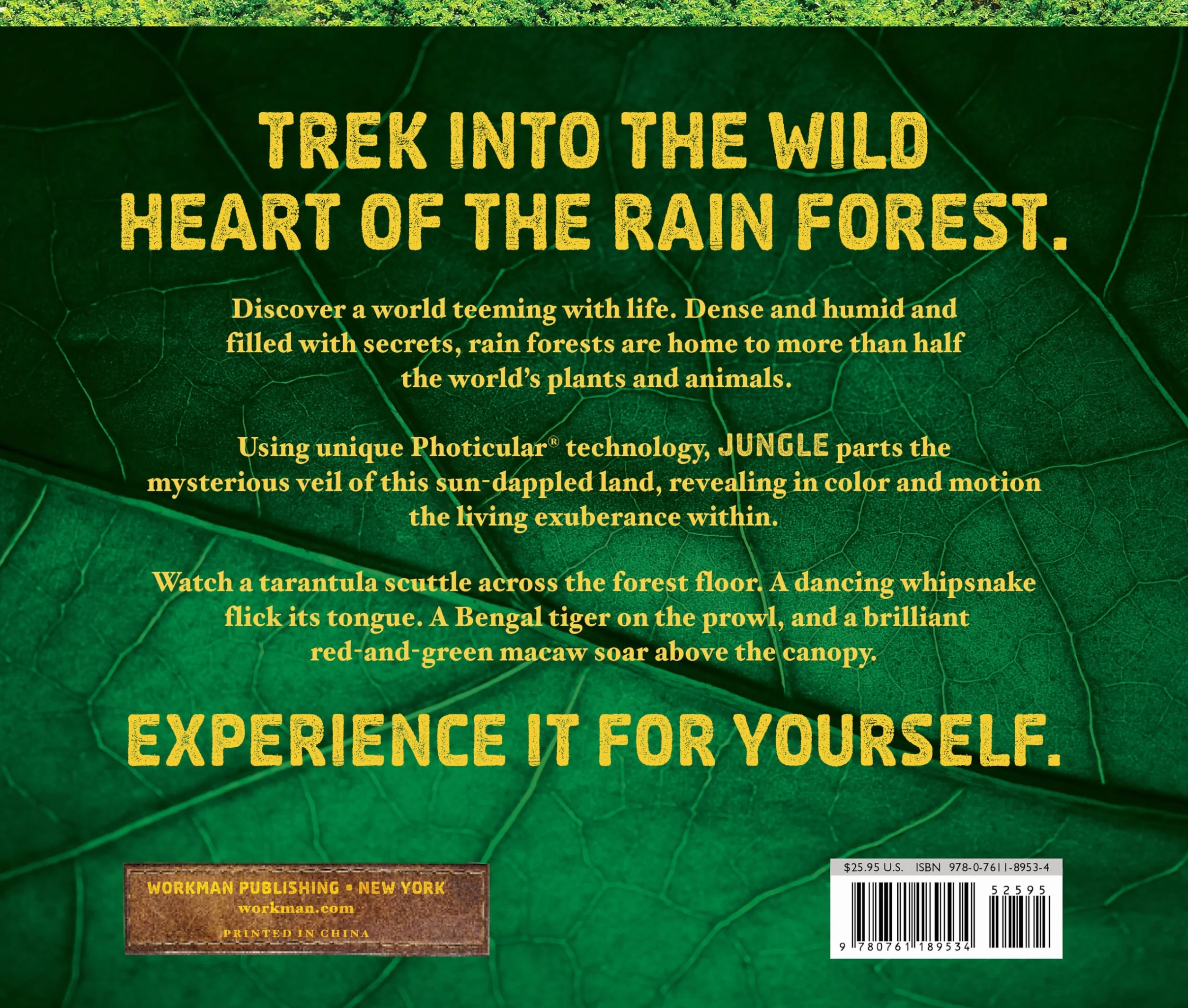 Jungle: A Photicular Book