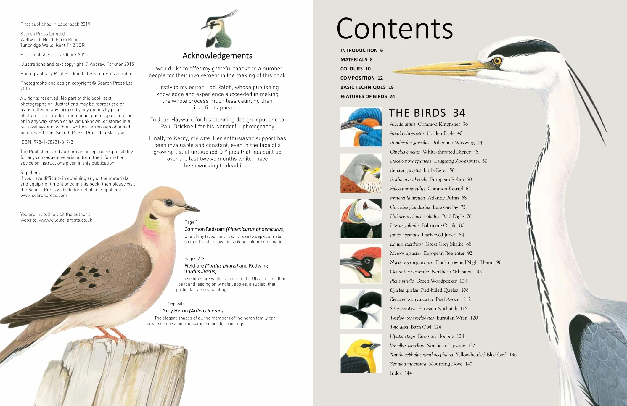 A-Z of Bird Portraits: An Illustrated Guide to Painting Beautiful Birds in Acrylics