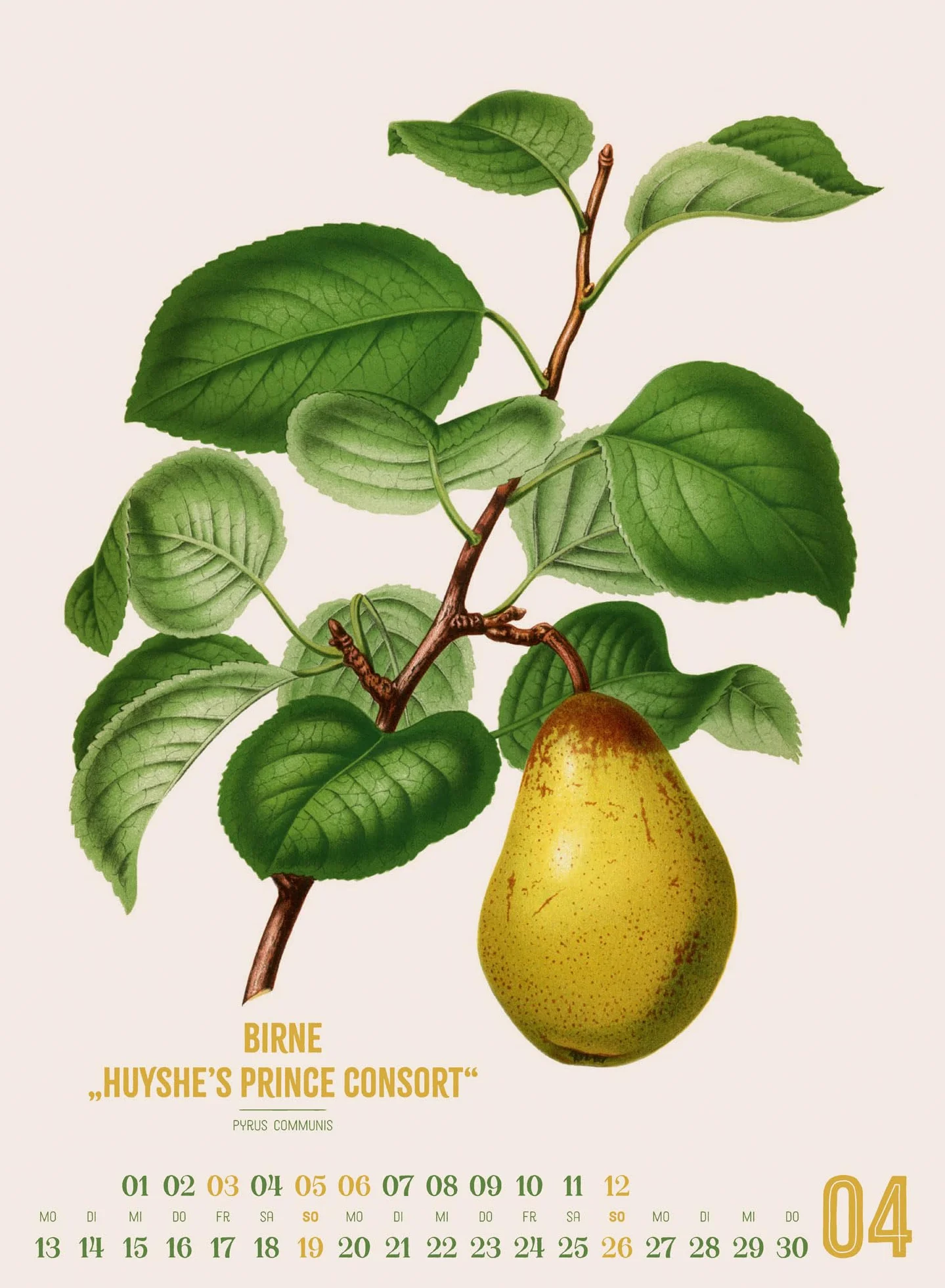 Obstgarten Kalender 2026 | Apfel, Birne, Pflaume & Co.: Stilvoller Retro-Küchen-Kalender im Hochformat (33x45 cm) | Gedruckt auf Apfelpapier