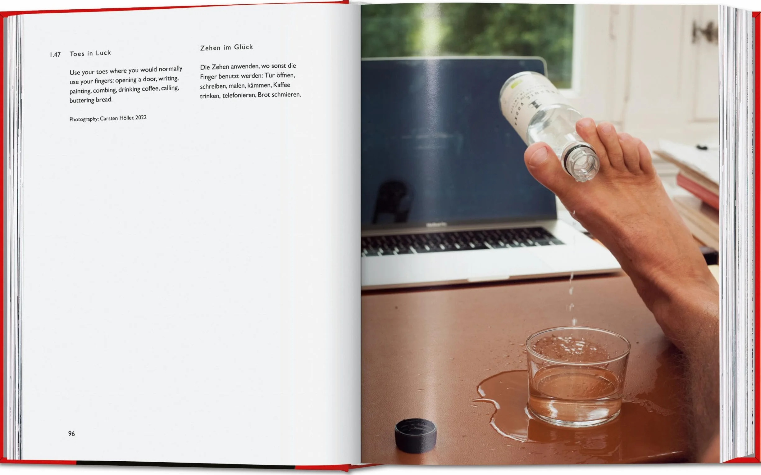 Carsten Höller. Book of Games