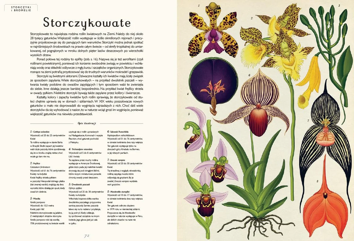 BOTANICUM: Muzeum Roślin