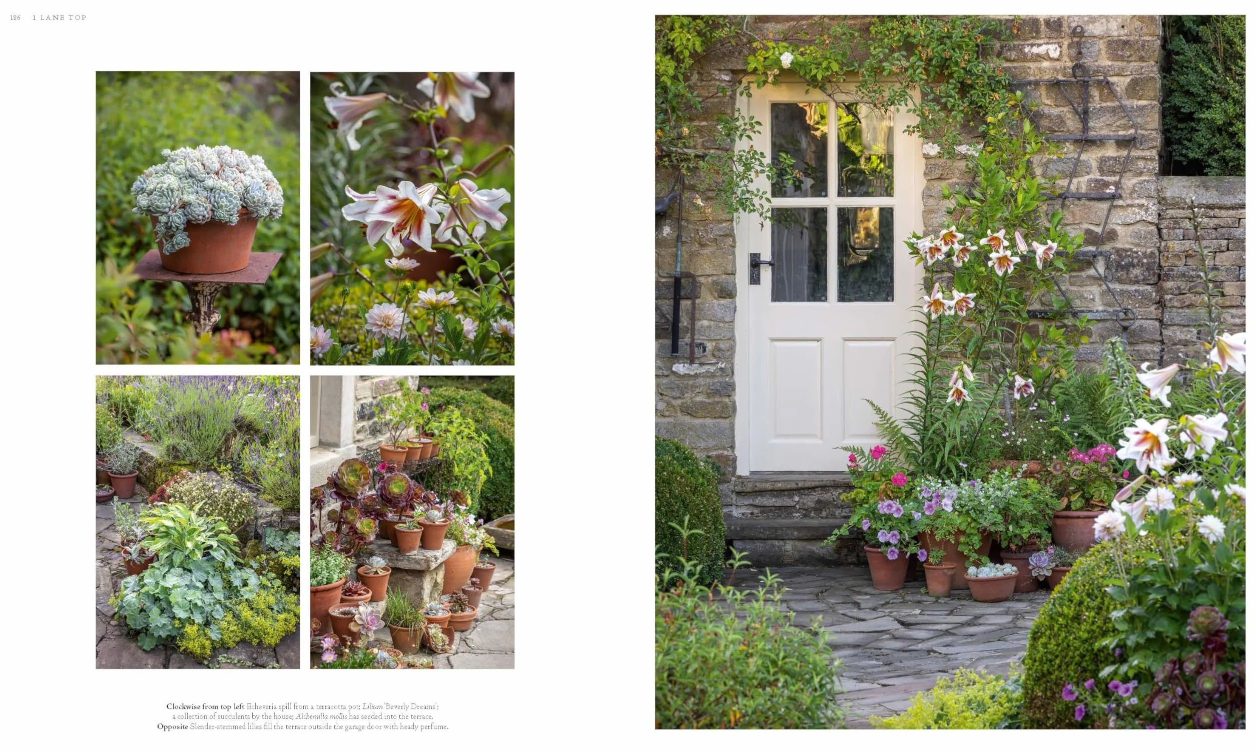 Cottage Gardens: A Stunning Tour of Bucolic British Gardens