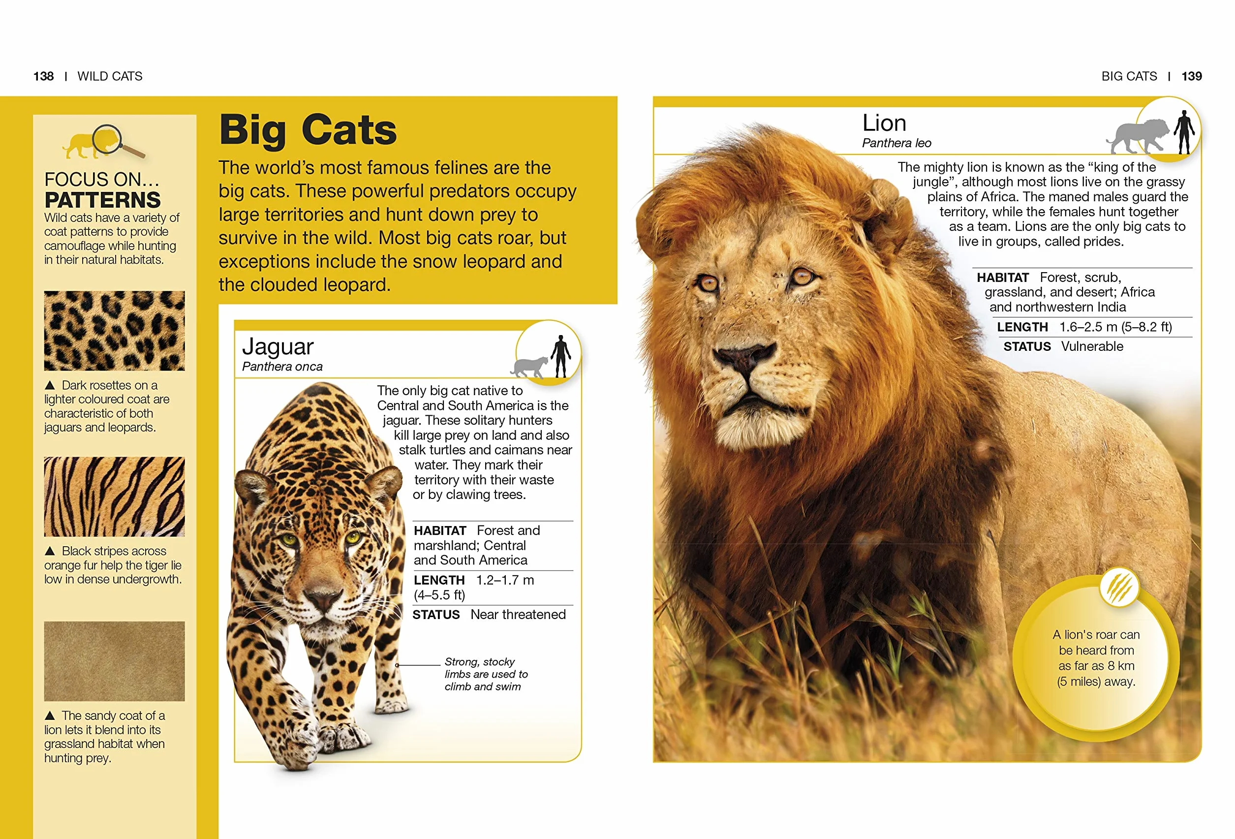 Cats: Facts at Your Fingertips (Pocket Eyewitness)