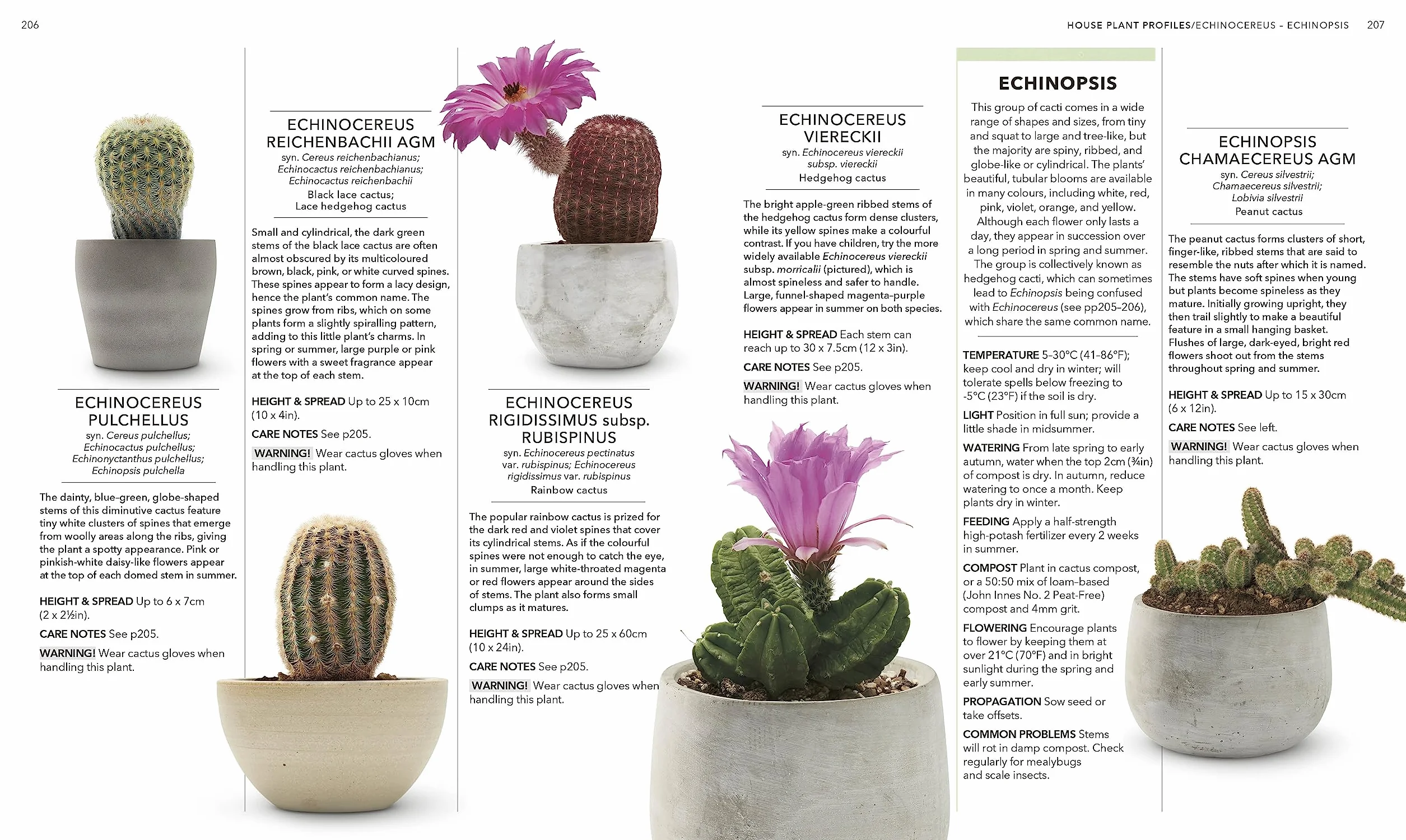 RHS House Plant: Practical Advice for All House Plants, Cacti and Succulents