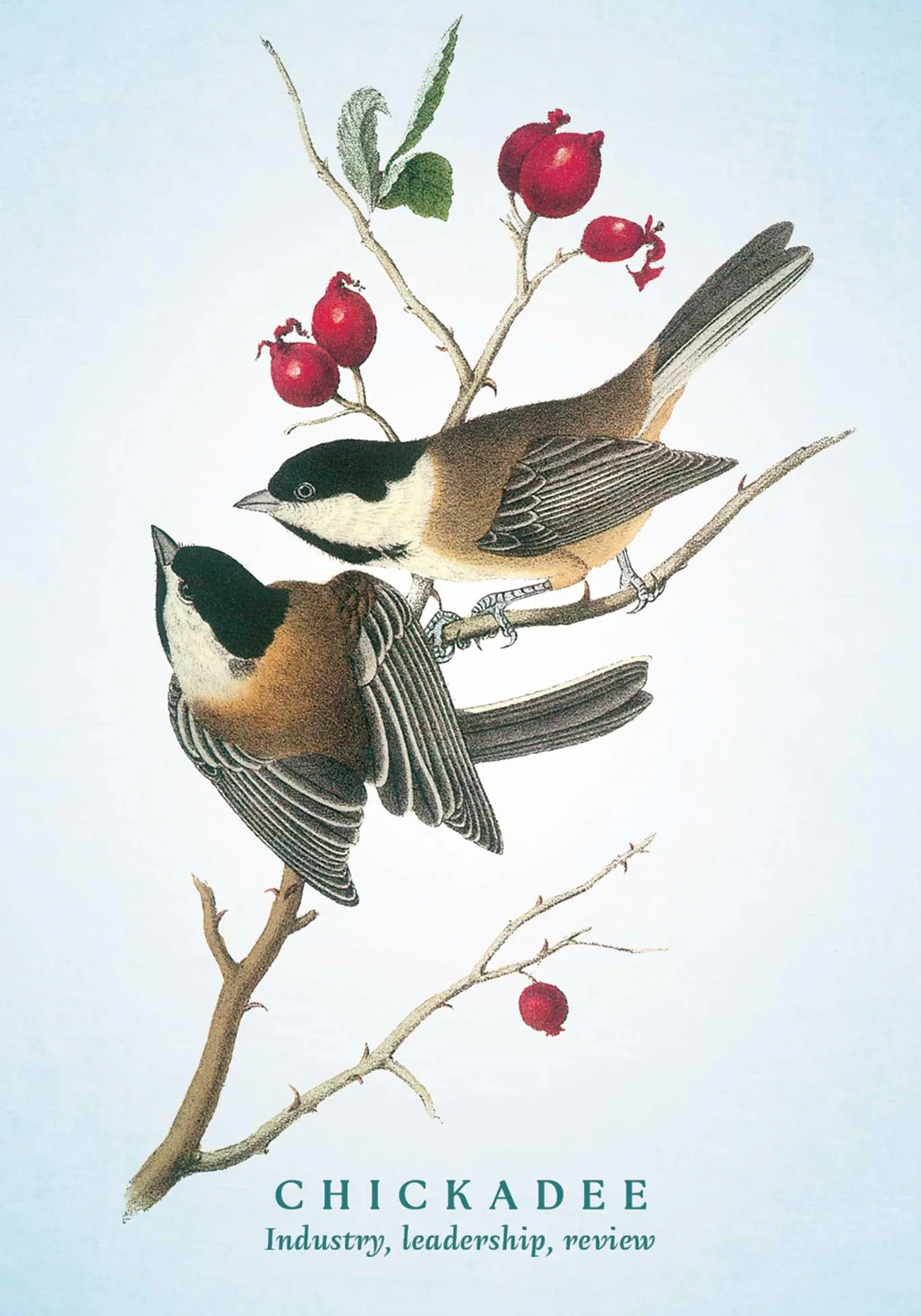 The Spiritual Meaning of Birds Oracle Deck: Discover the Wisdom & Insight of These Divine Winged Messengers