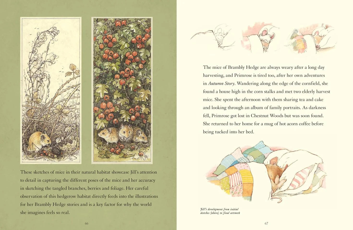 A Visit to Brambly Hedge: An illustrated companion to the world of Brambly Hedge, perfect for collectors and fans of Jill Barklem!