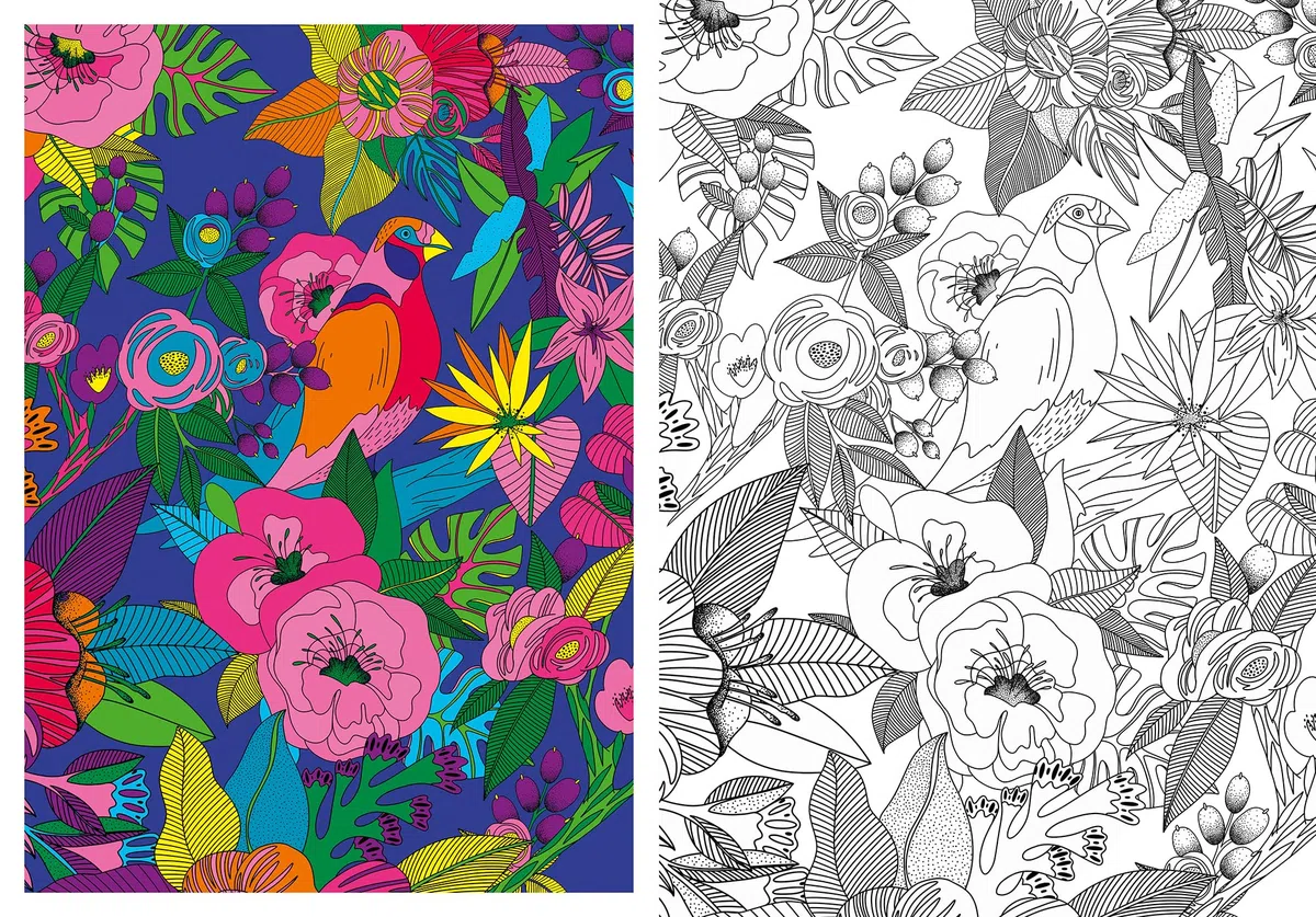 Inspiration - Nature: 60 coloriages et 100 modèles