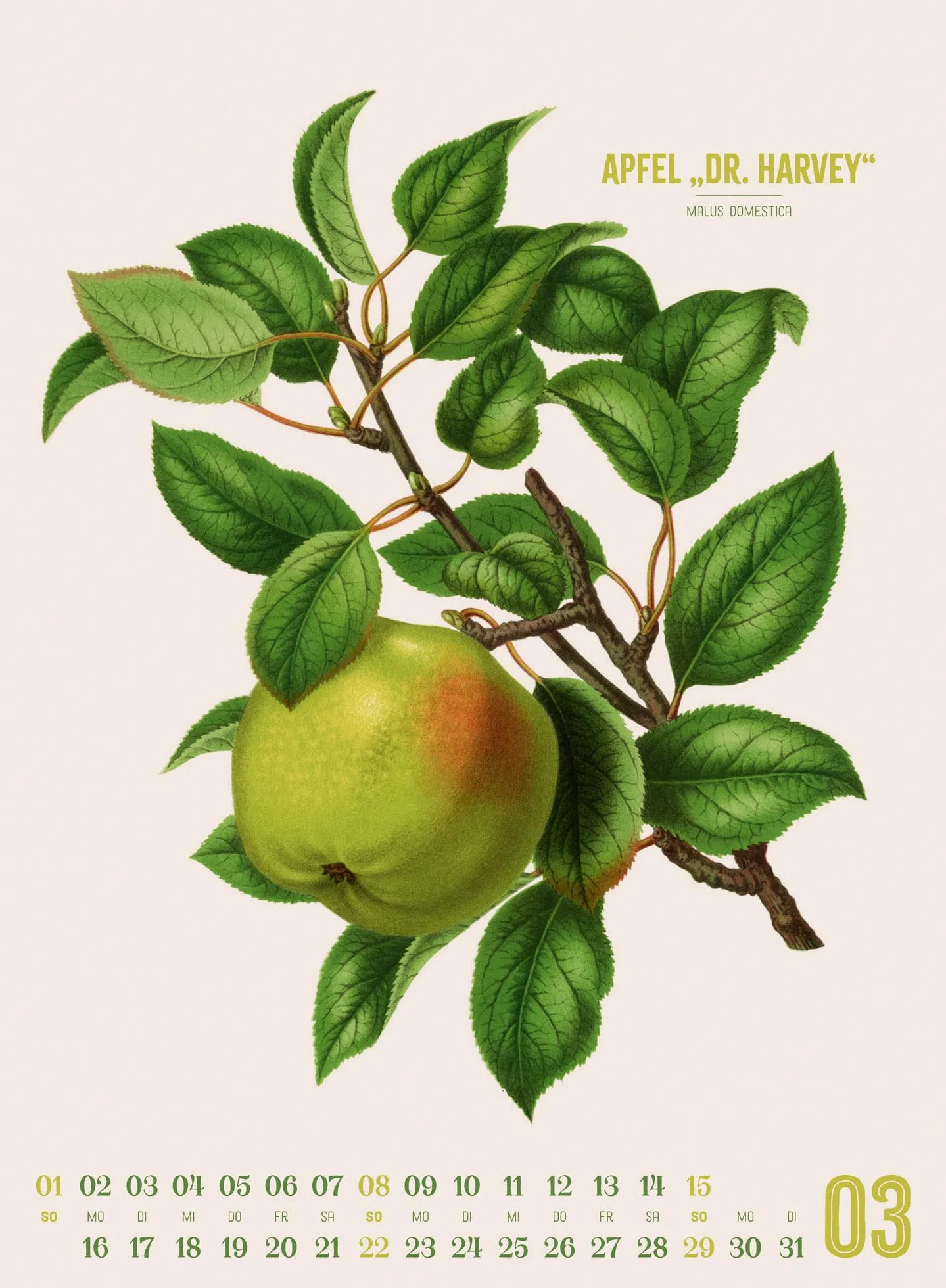 Obstgarten Kalender 2026 | Apfel, Birne, Pflaume & Co.: Stilvoller Retro-Küchen-Kalender im Hochformat (33x45 cm) | Gedruckt auf Apfelpapier