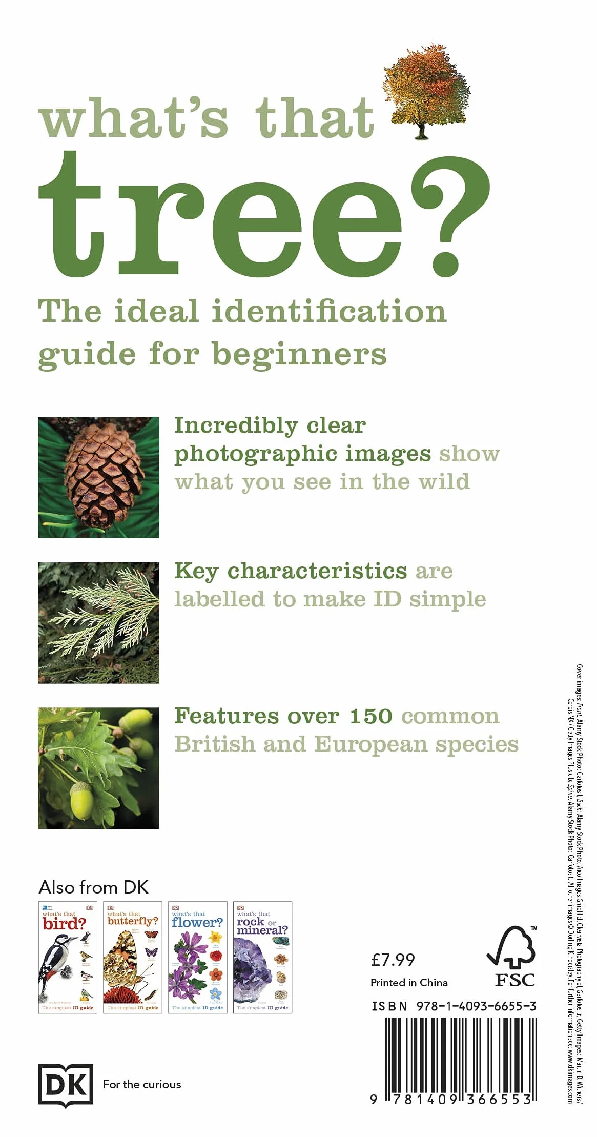 What's that Tree?: The Simplest ID Guide Ever