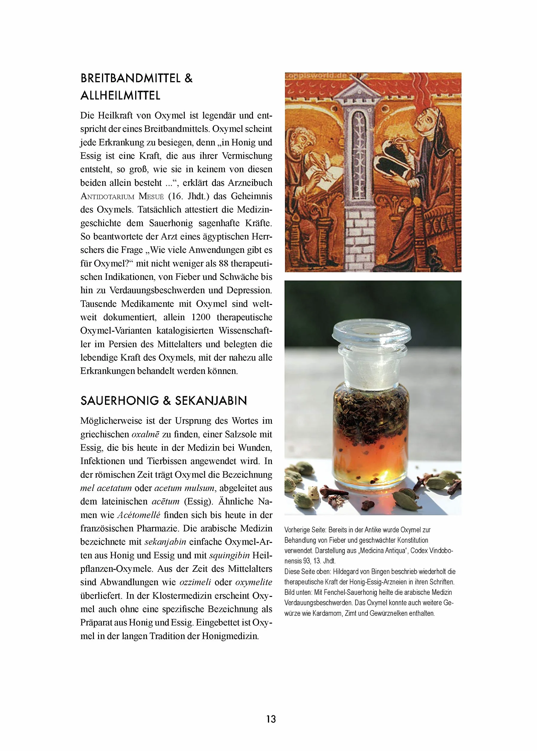Das große Buch vom OXYMEL: Medizin aus Honig und Essig