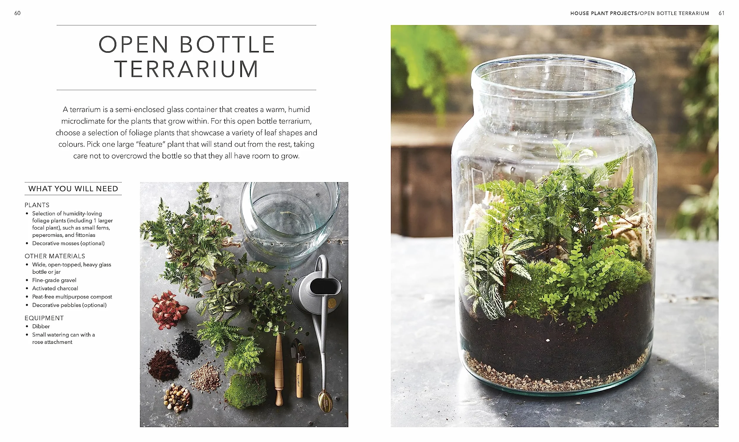 RHS House Plant: Practical Advice for All House Plants, Cacti and Succulents