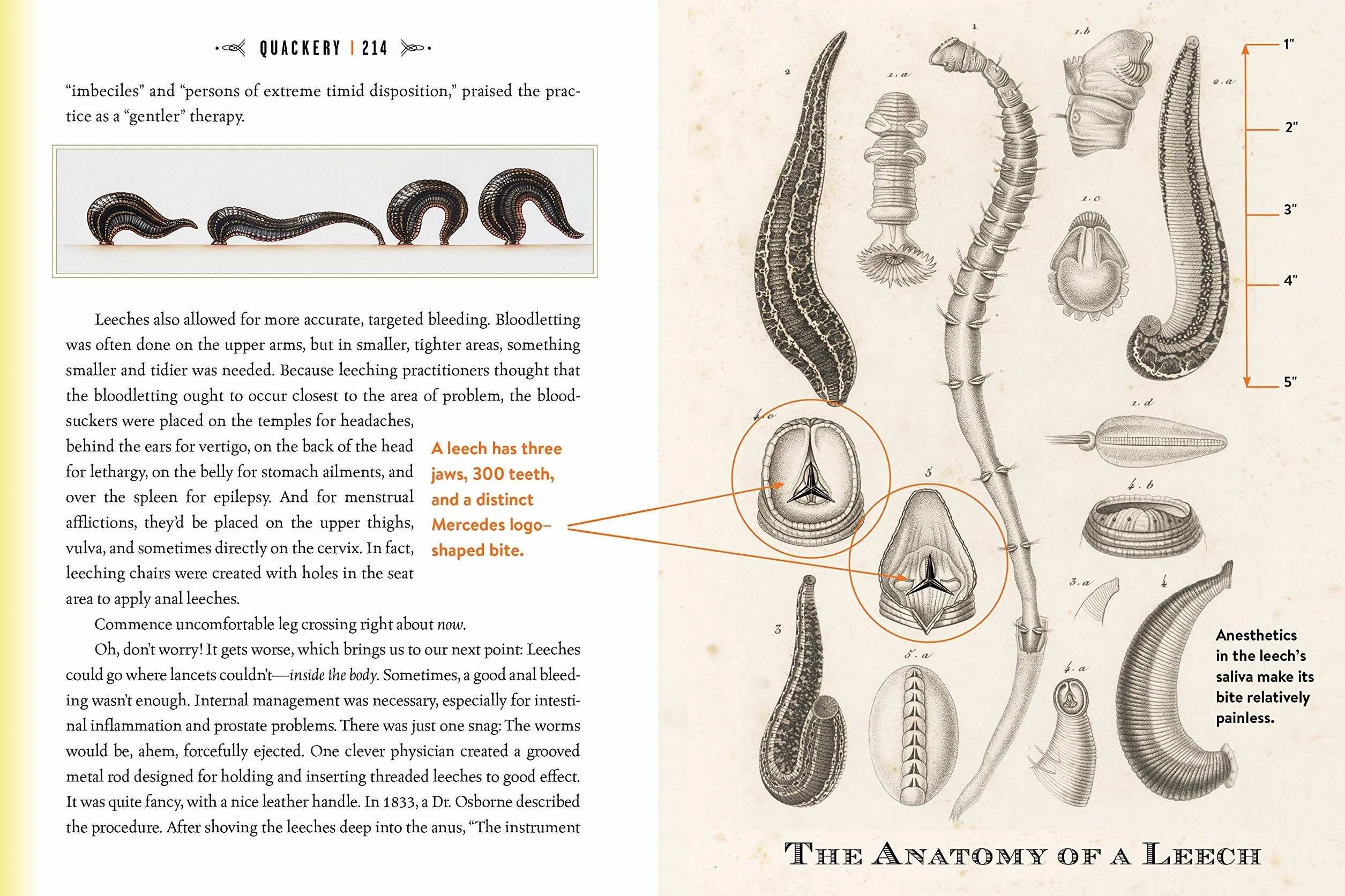 Quackery: A Brief History of the Worst Ways to Cure Everything: 1