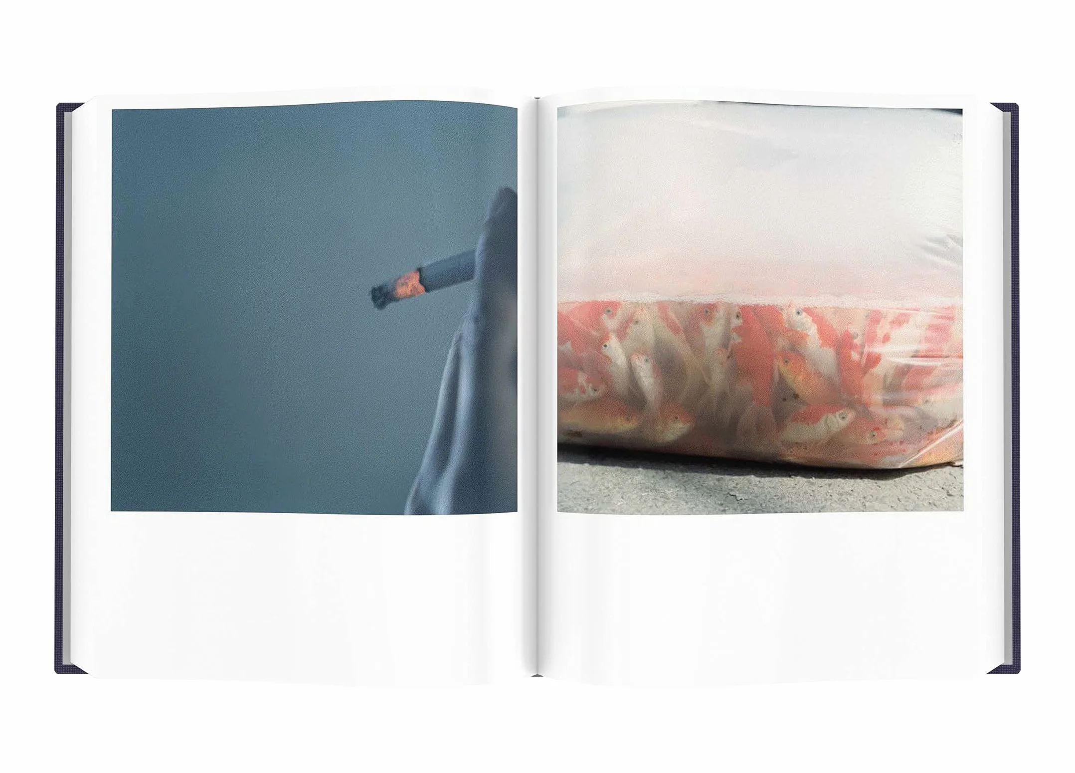 Rinko Kawauchi Illuminance The Ten-Year Anniversary Edition /anglais