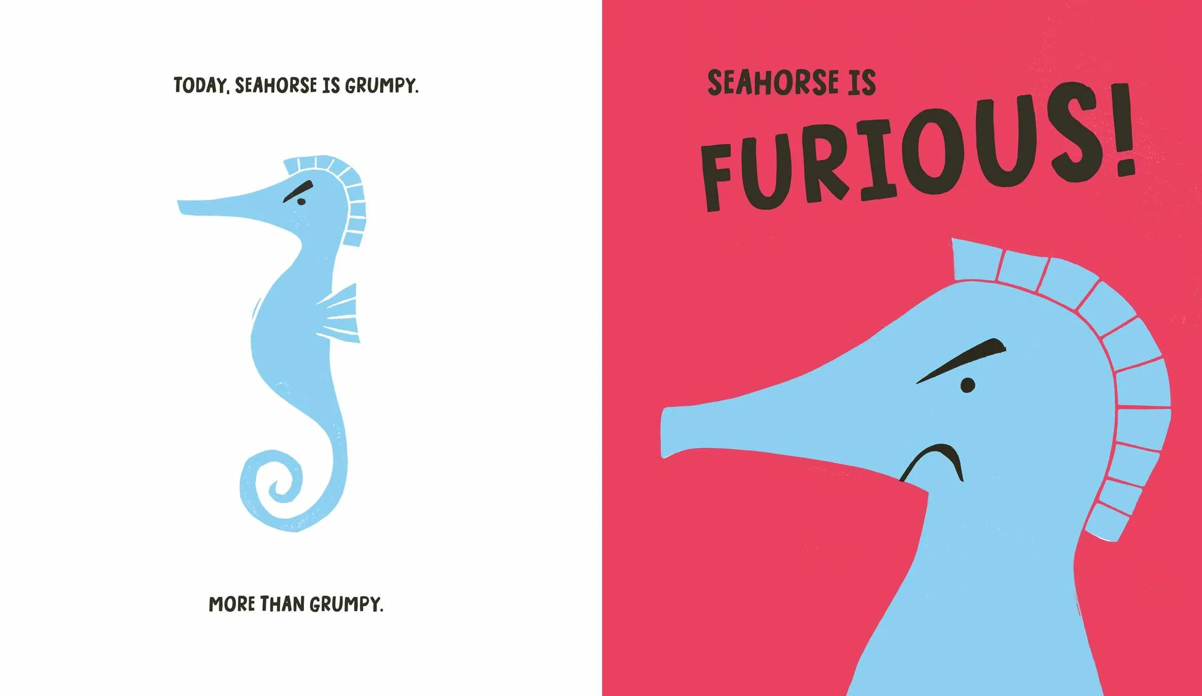 Seahorse is Furious: (and there is NOTHING you can do about it!)
