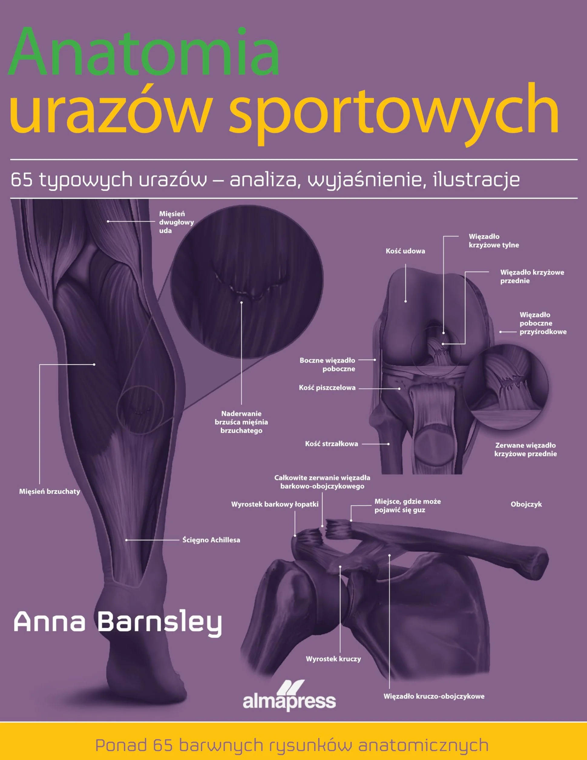 ANATOMIA URAZÓW SPORTOWYCH