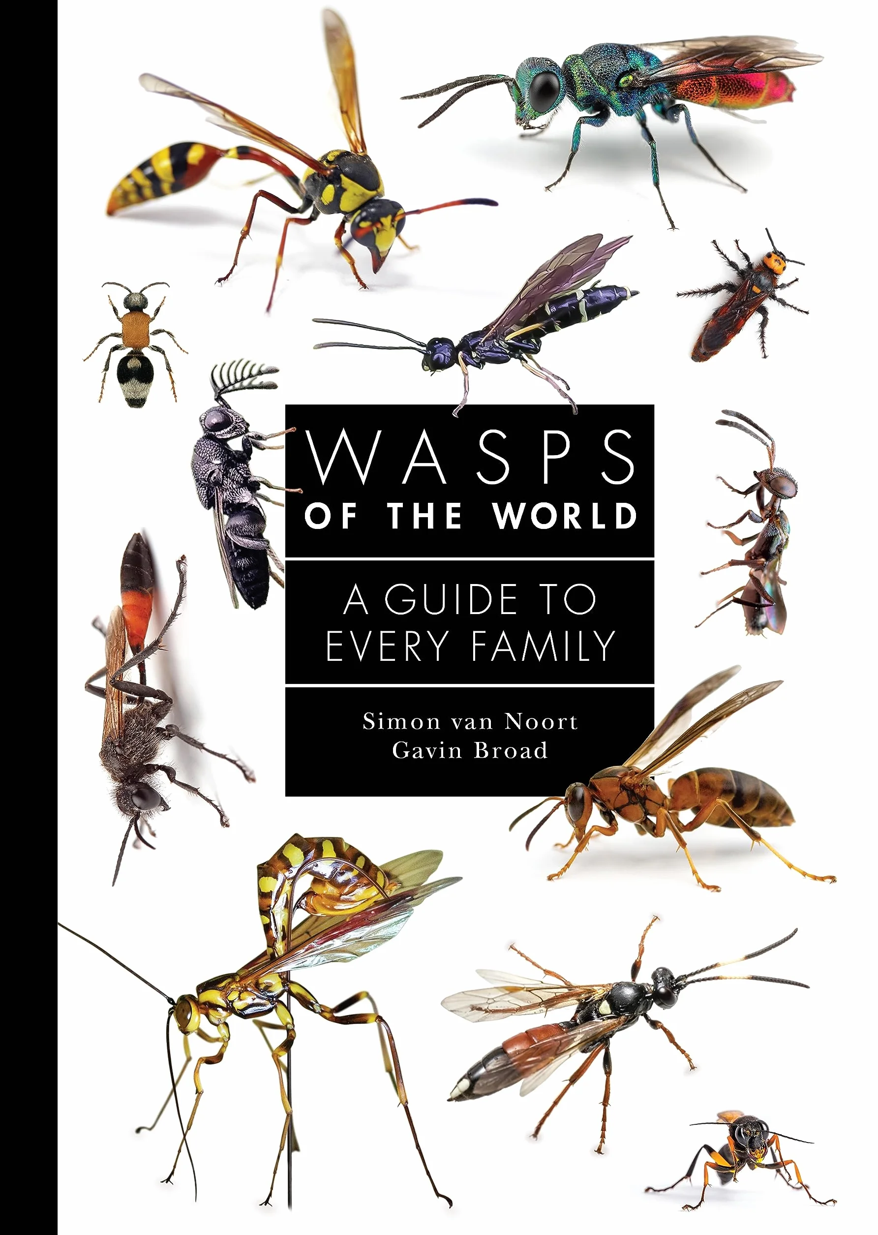 Wasps of the World: A Guide to Every Family: 8