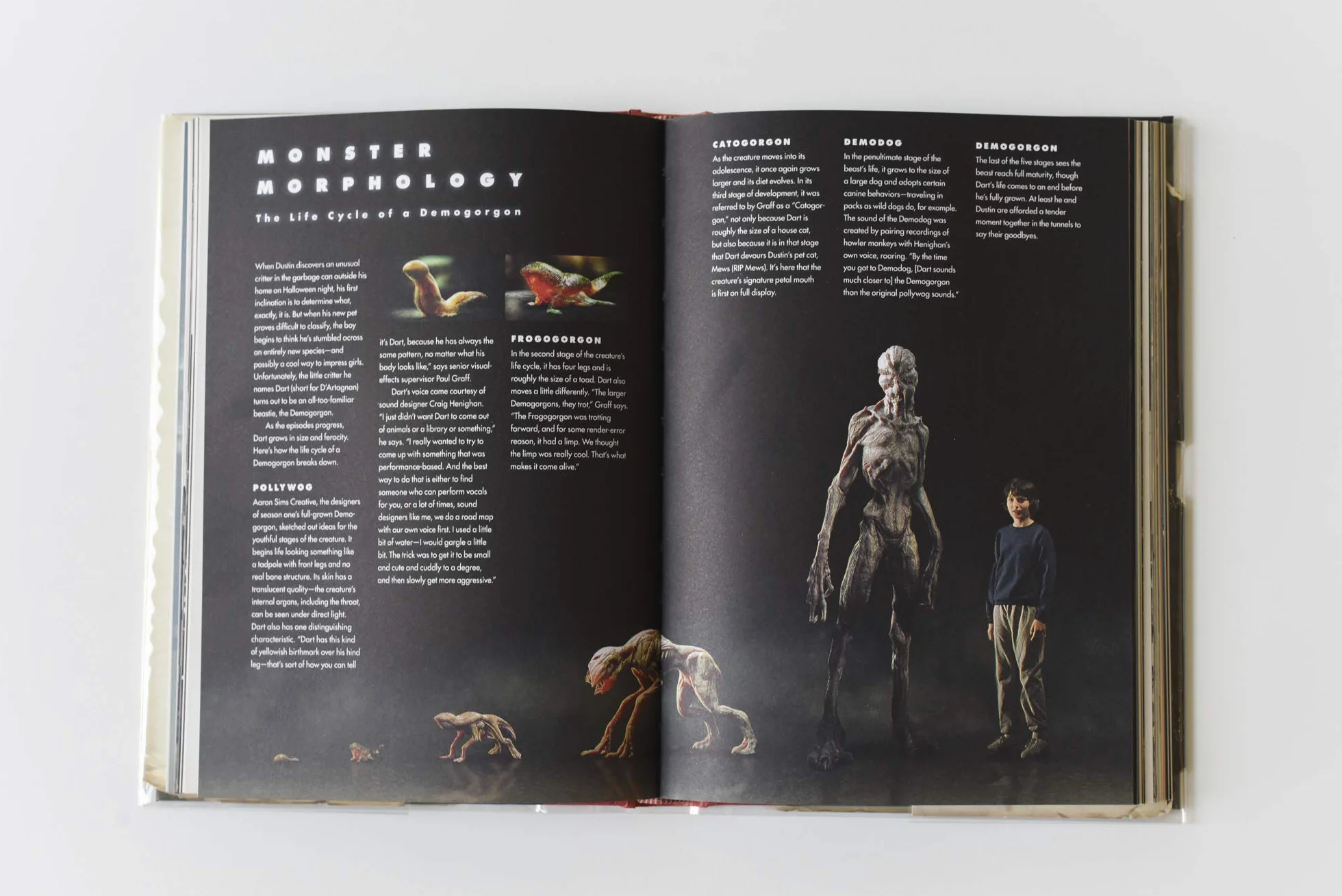 Stranger Things: Worlds Turned Upside Down: The Official Behind-the-Scenes Companion