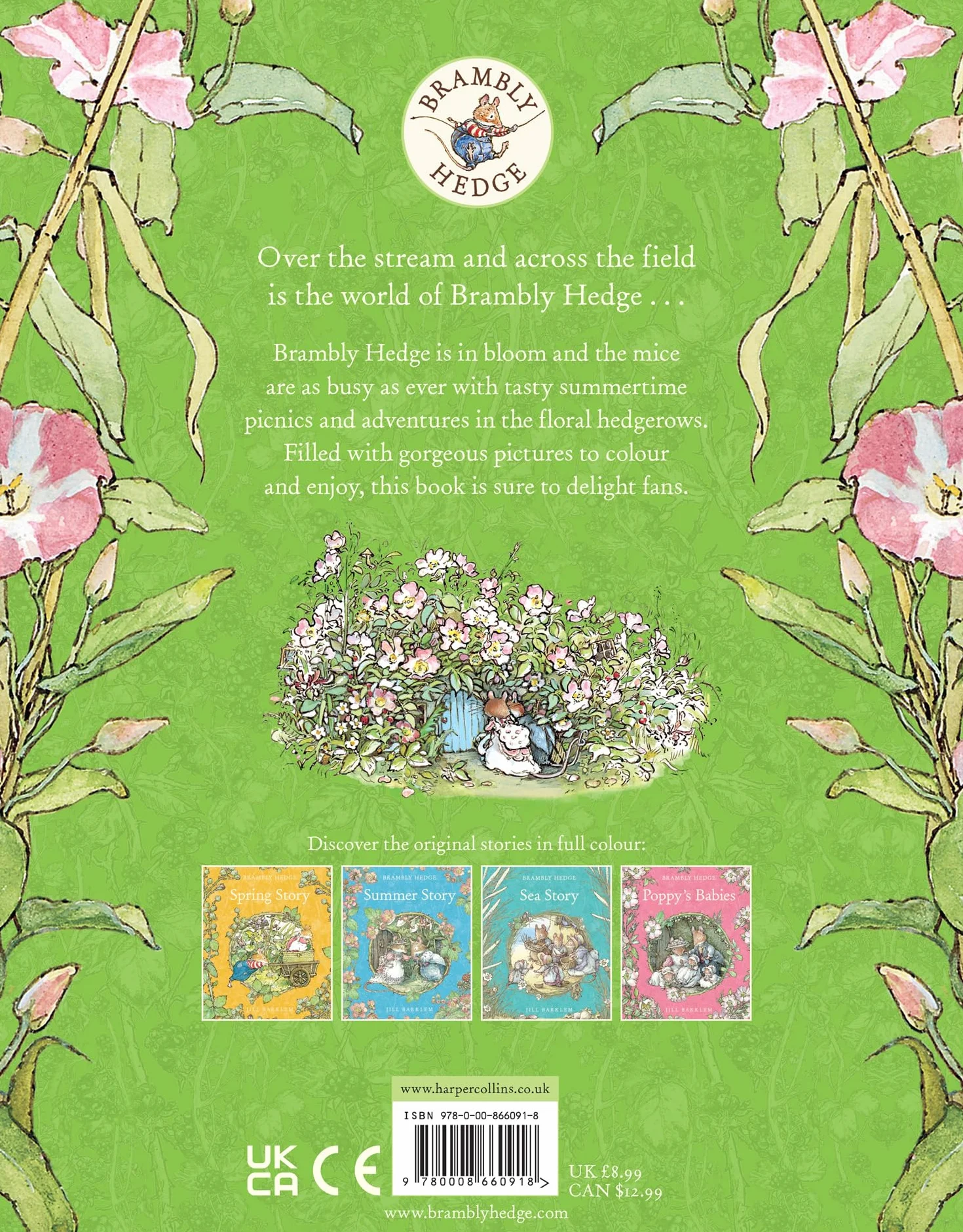 Brambly Hedge: Nature Colouring Book: Enter the cosy world of Brambly Hedge with this perfect colouring book for relaxation for all ages