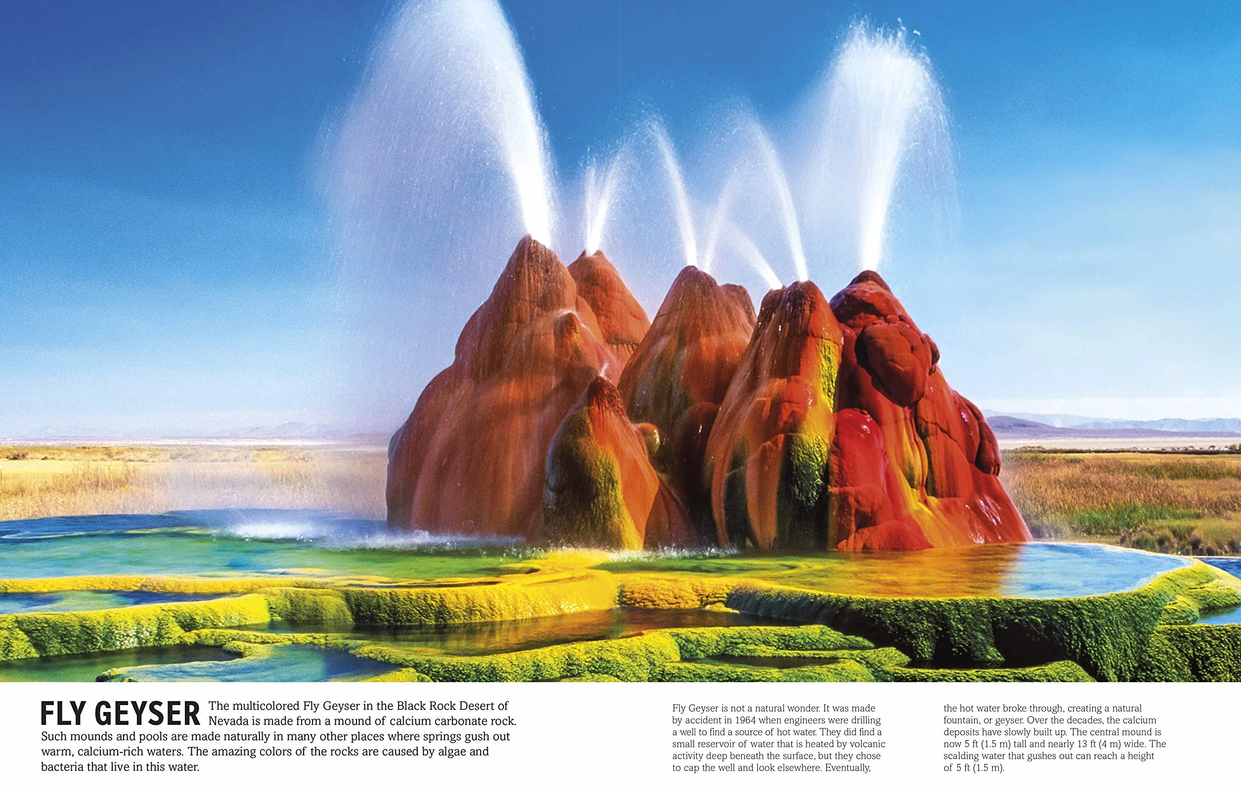 The Elements Book: A Visual Encyclopedia of the Periodic Table