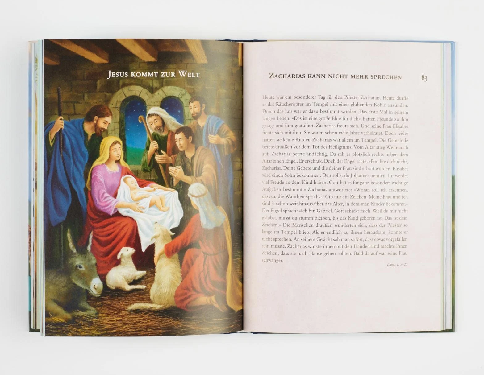 Meine Bibel zur Erstkommunion: Hochwertig illustrierte Kinderbibel als Geschenk für Mädchen und Jungen