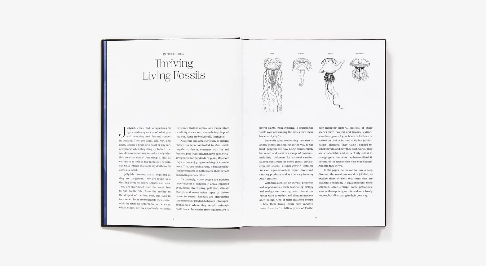Shapeshifters: The Wondrous World of Jellyfish