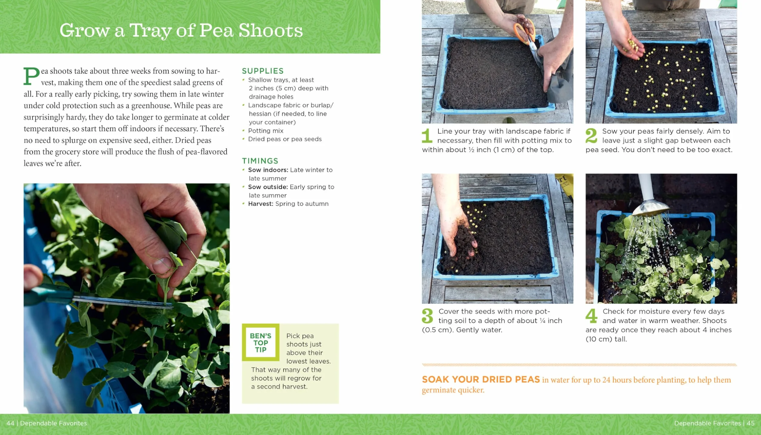 GrowVeg: The Beginner's Guide to Easy Vegetable Gardening