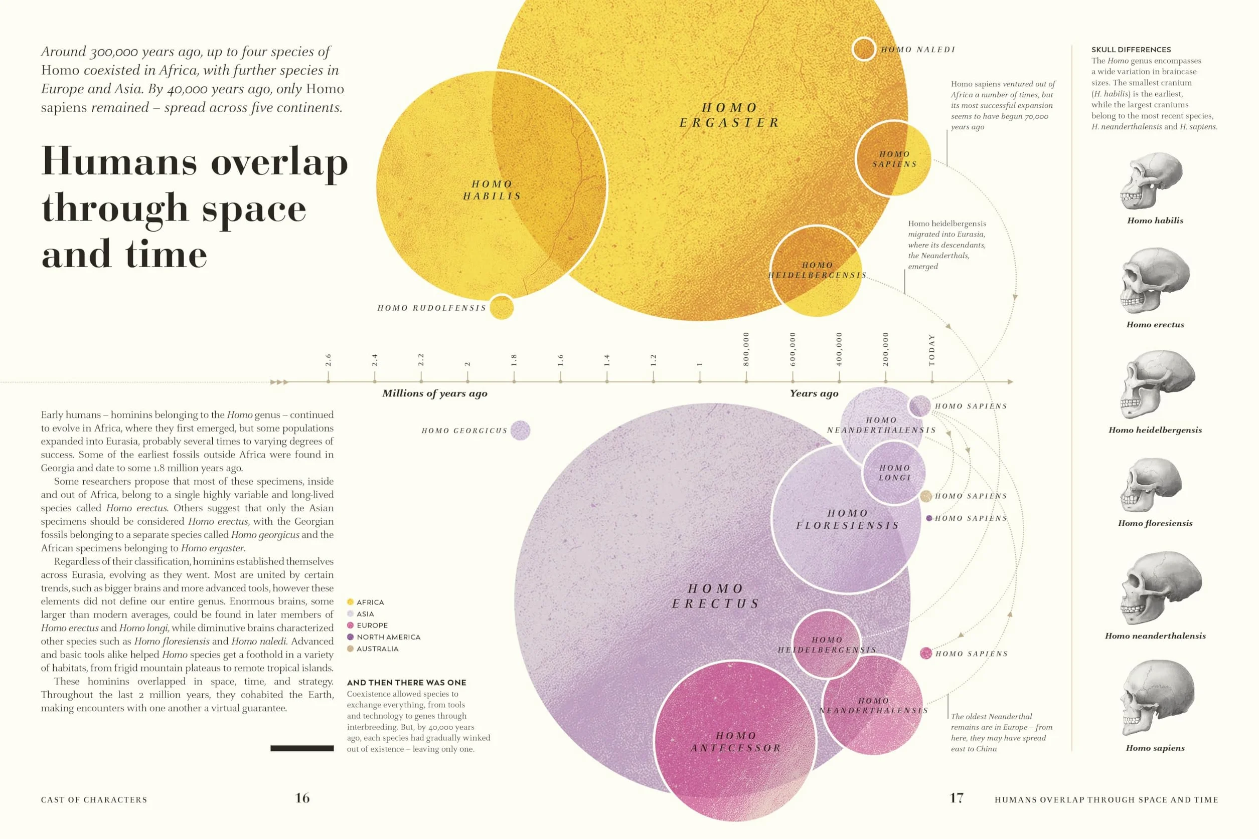 Humans: The Evolution of a Species