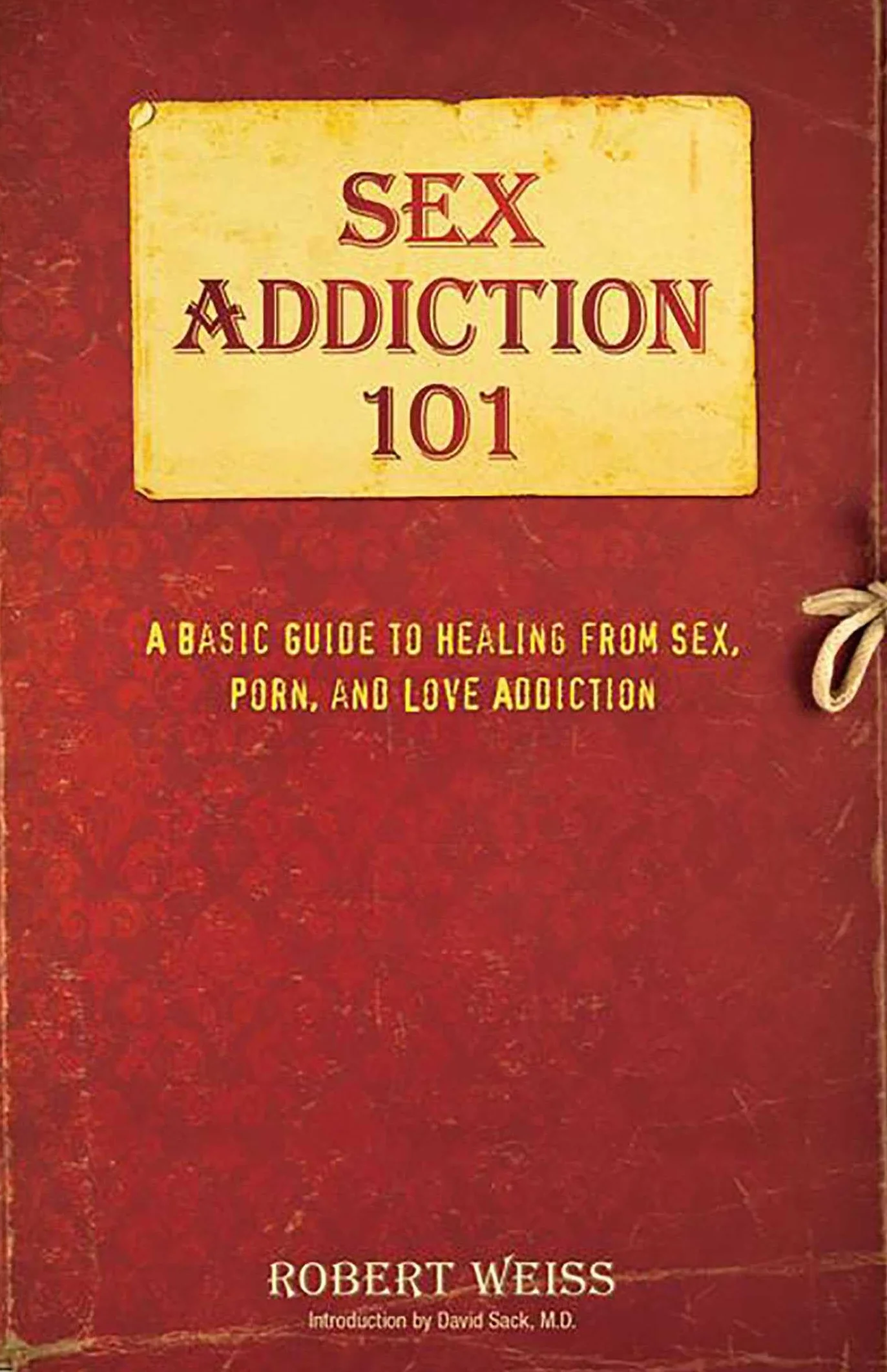Sex Addiction 101: A Basic Guide to Healing from Sex, Porn, and Love Addiction