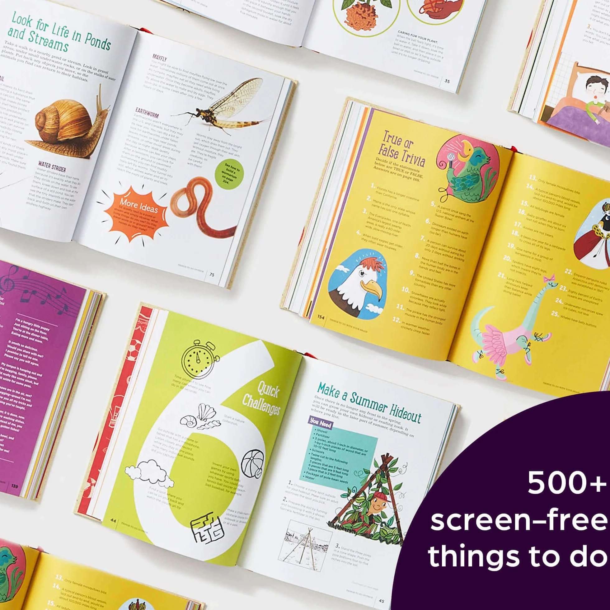 The Highlights Book of Things to Do: Crafts, Recipes, Science Experiments, Puzzles, Outdoor Adventures, and More Learning Activities for Kids Who Do Great Things