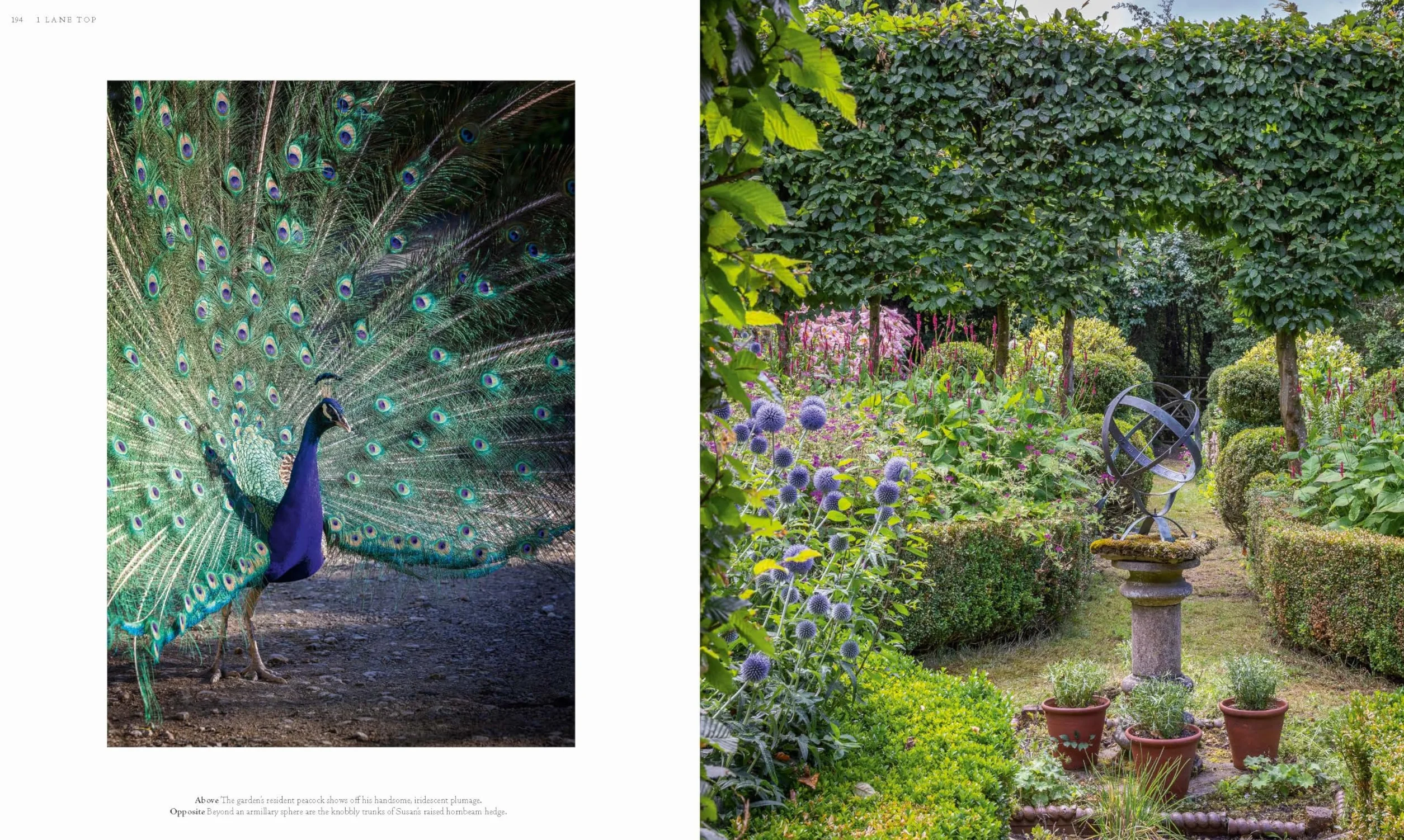 Cottage Gardens: A Stunning Tour of Bucolic British Gardens