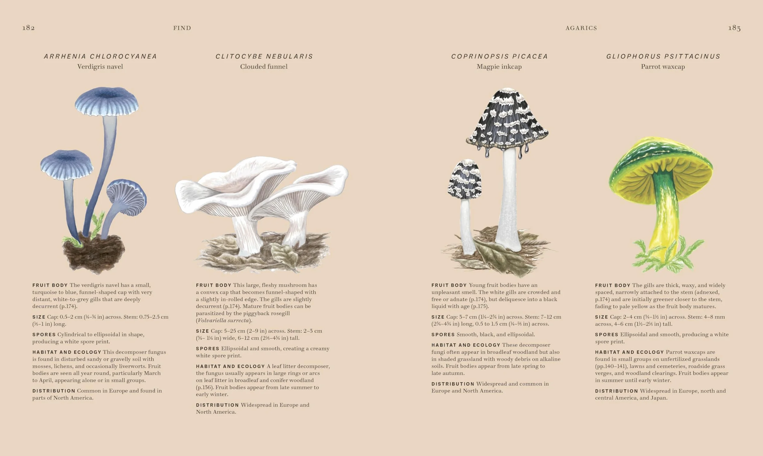 Fungi: Discover the Science and Secrets Behind the World of Mushrooms