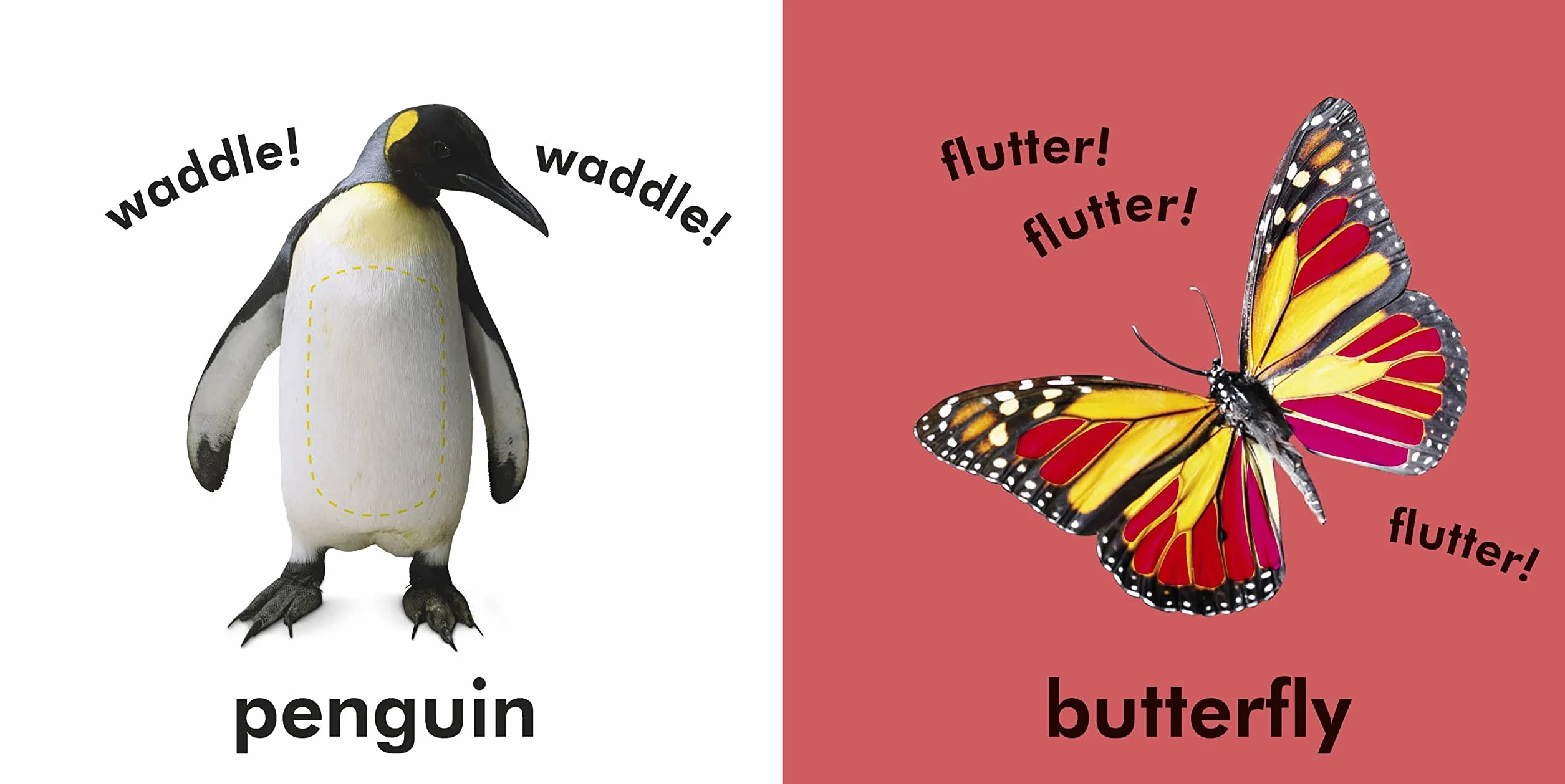 Baby Touch and Feel Animals: An Interactive Nature Board Book